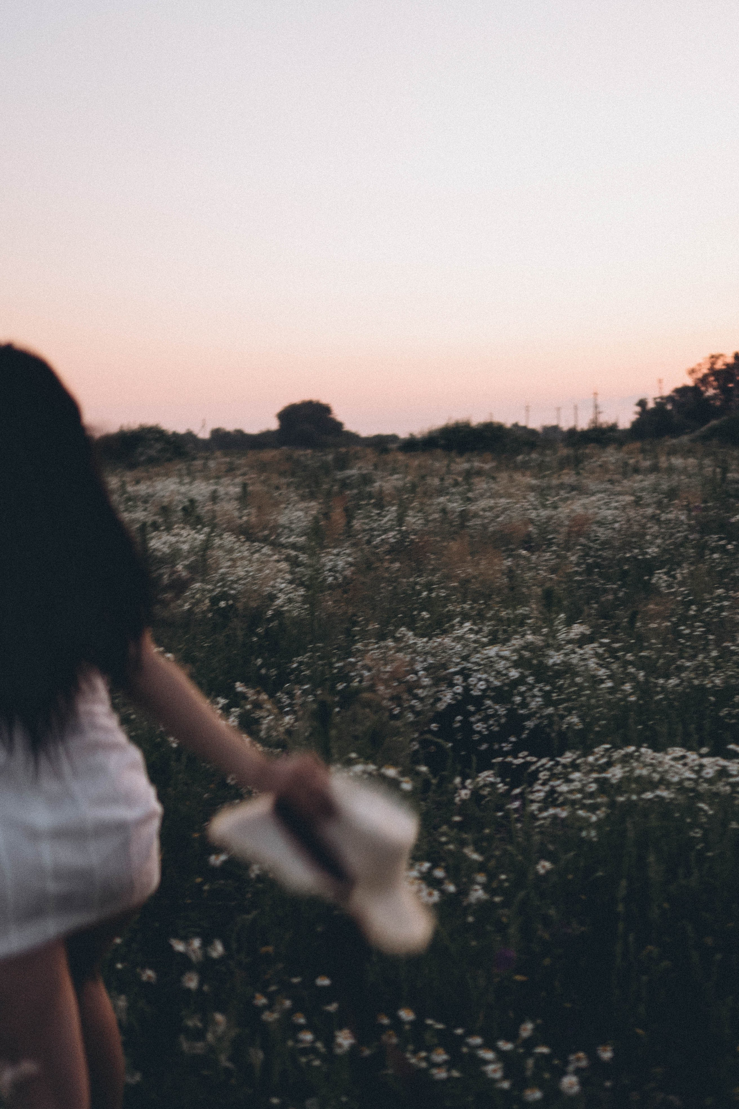 Ромашковое поле. Профессиональный фотограф, Санкт-Петербург — Виктория Богомолова