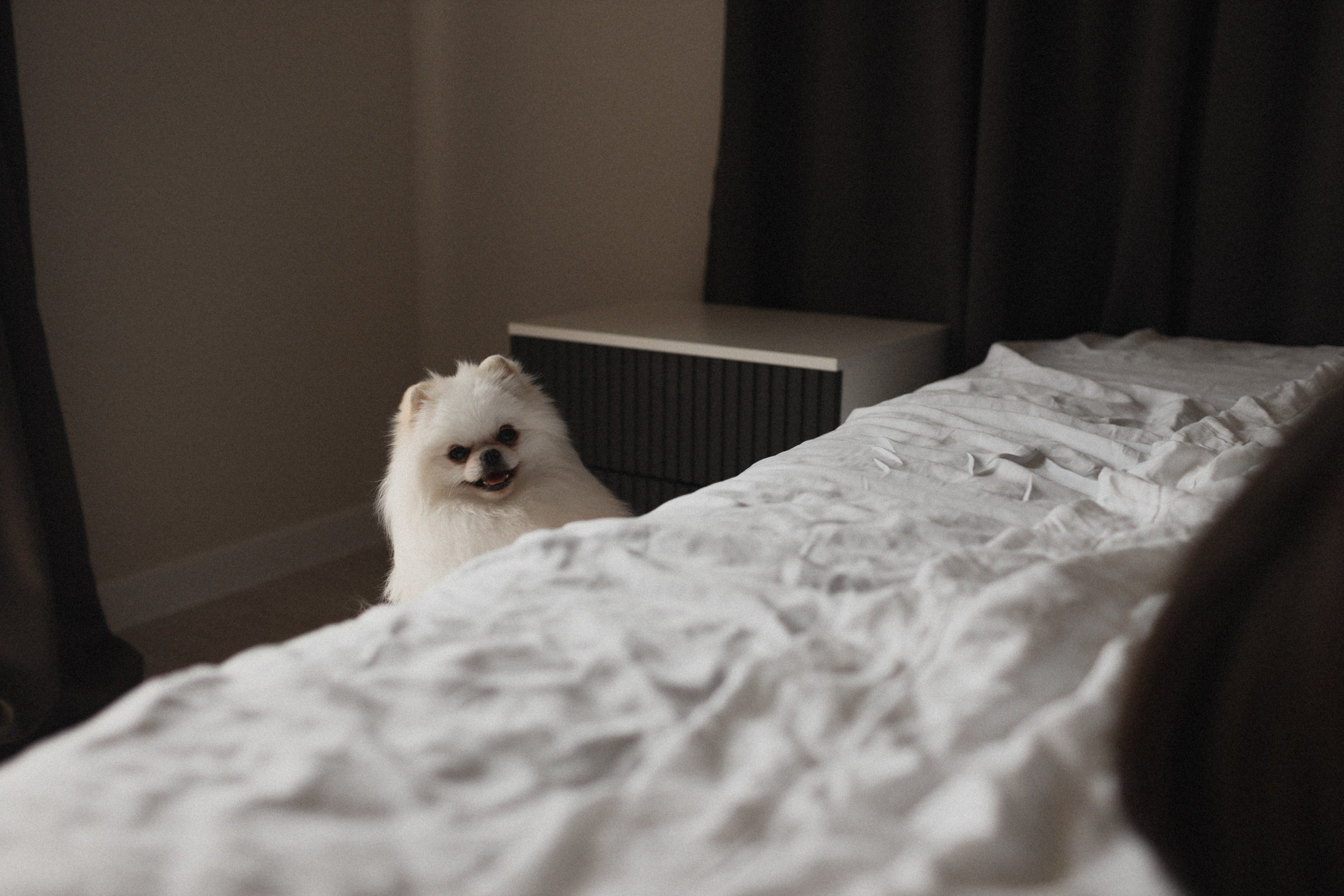 Главное — семья. Фотограф Воронцова Виталия Крым Севастополь