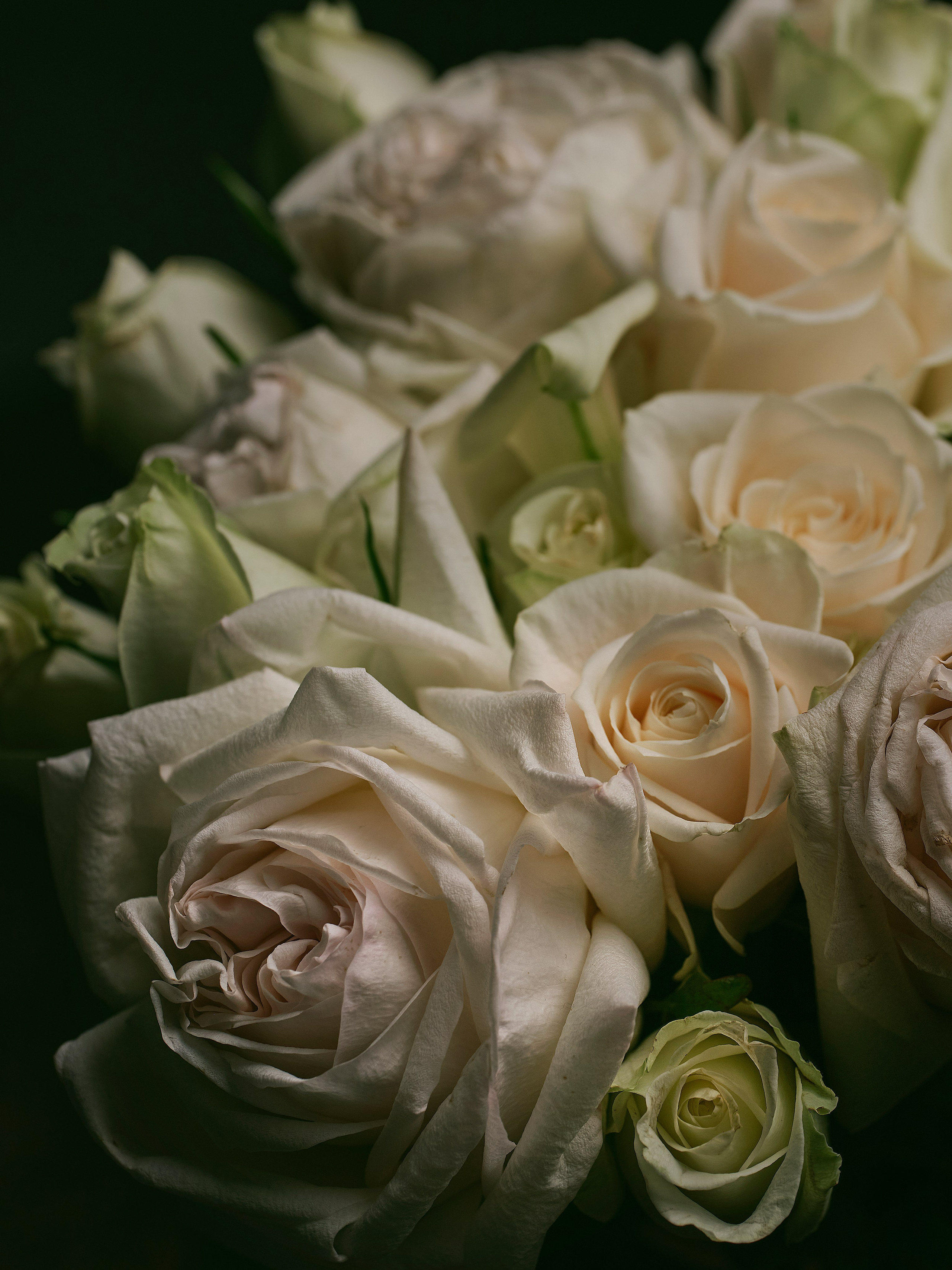 Портретный фотограф