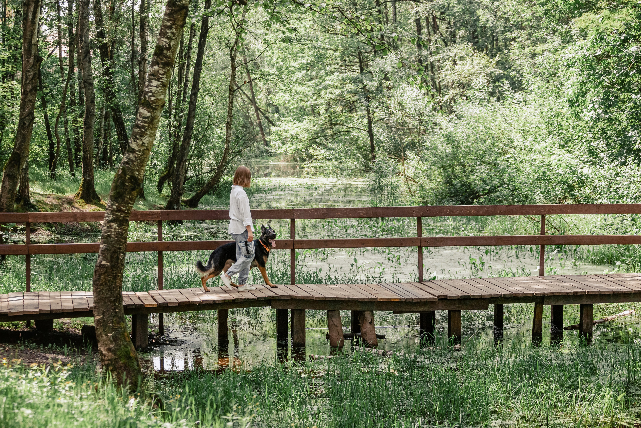 Лесная летняя фотопрогулка. Фотограф-анималист Татьяна Степанова