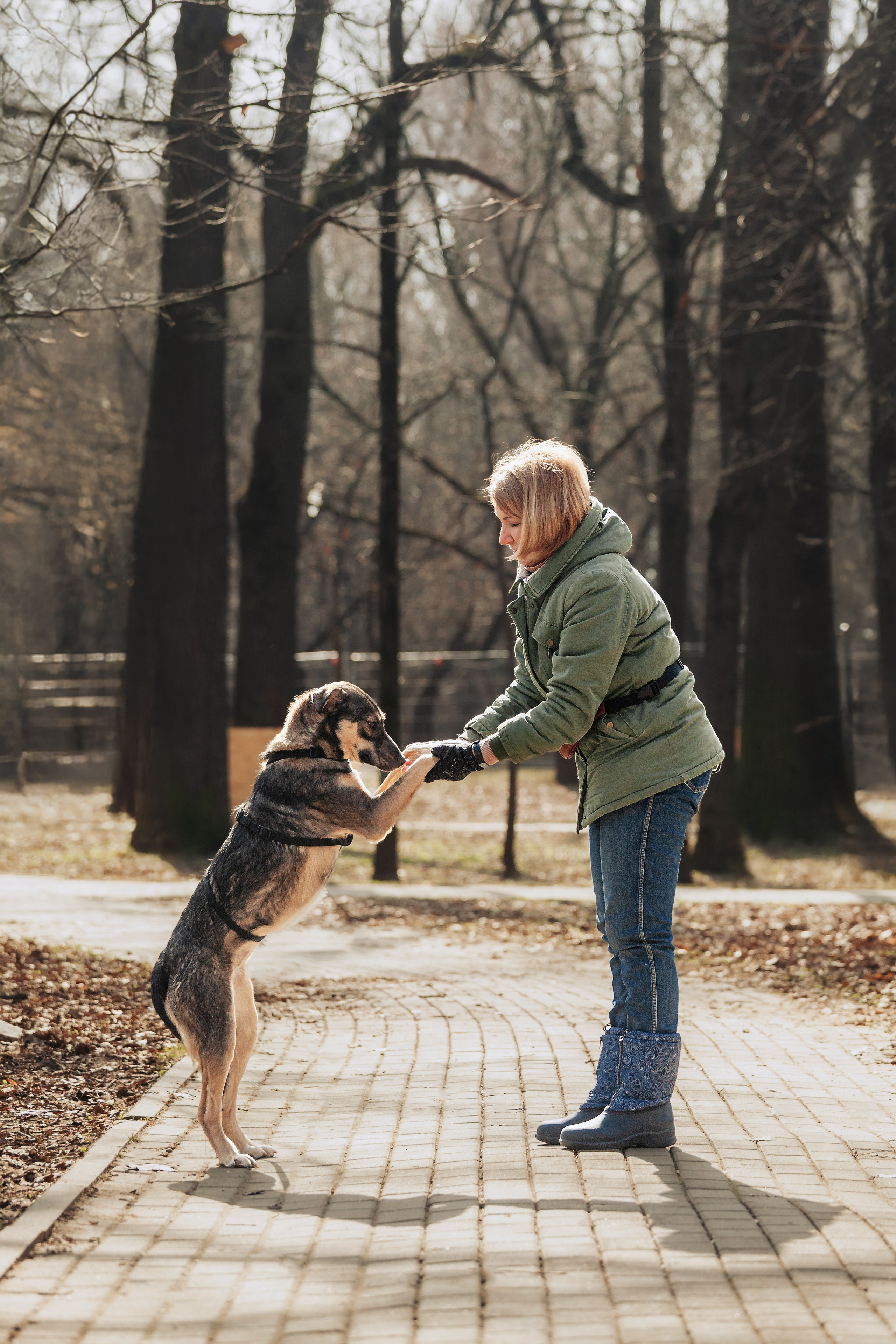 Собаки из приюта Дубовая роща весна 2025. Фотограф-анималист Татьяна Степанова