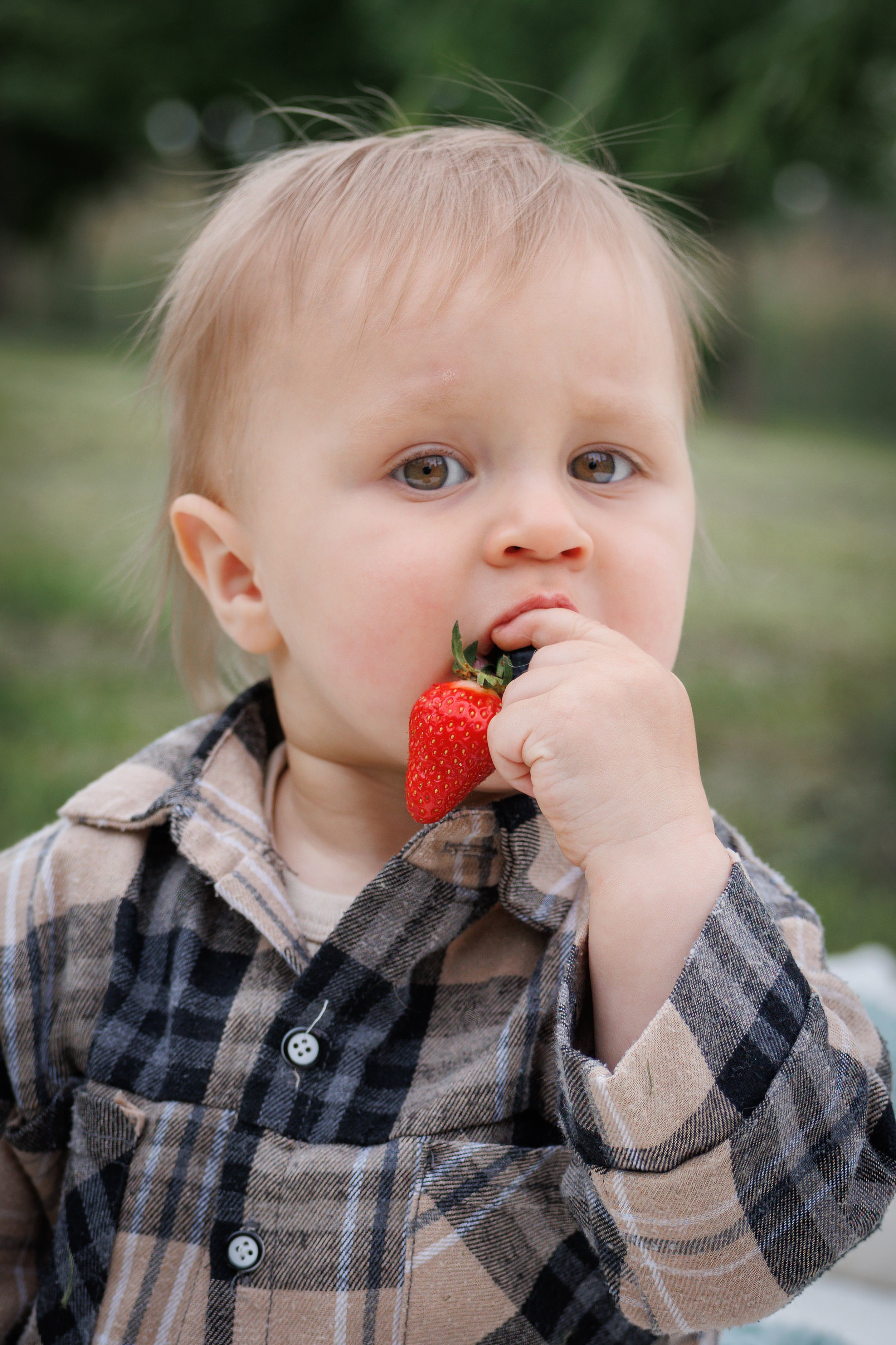 Тимоше годик. Фотограф в Краснодаре. Выпускные школьные альбомы, Свадьбы, Портреты