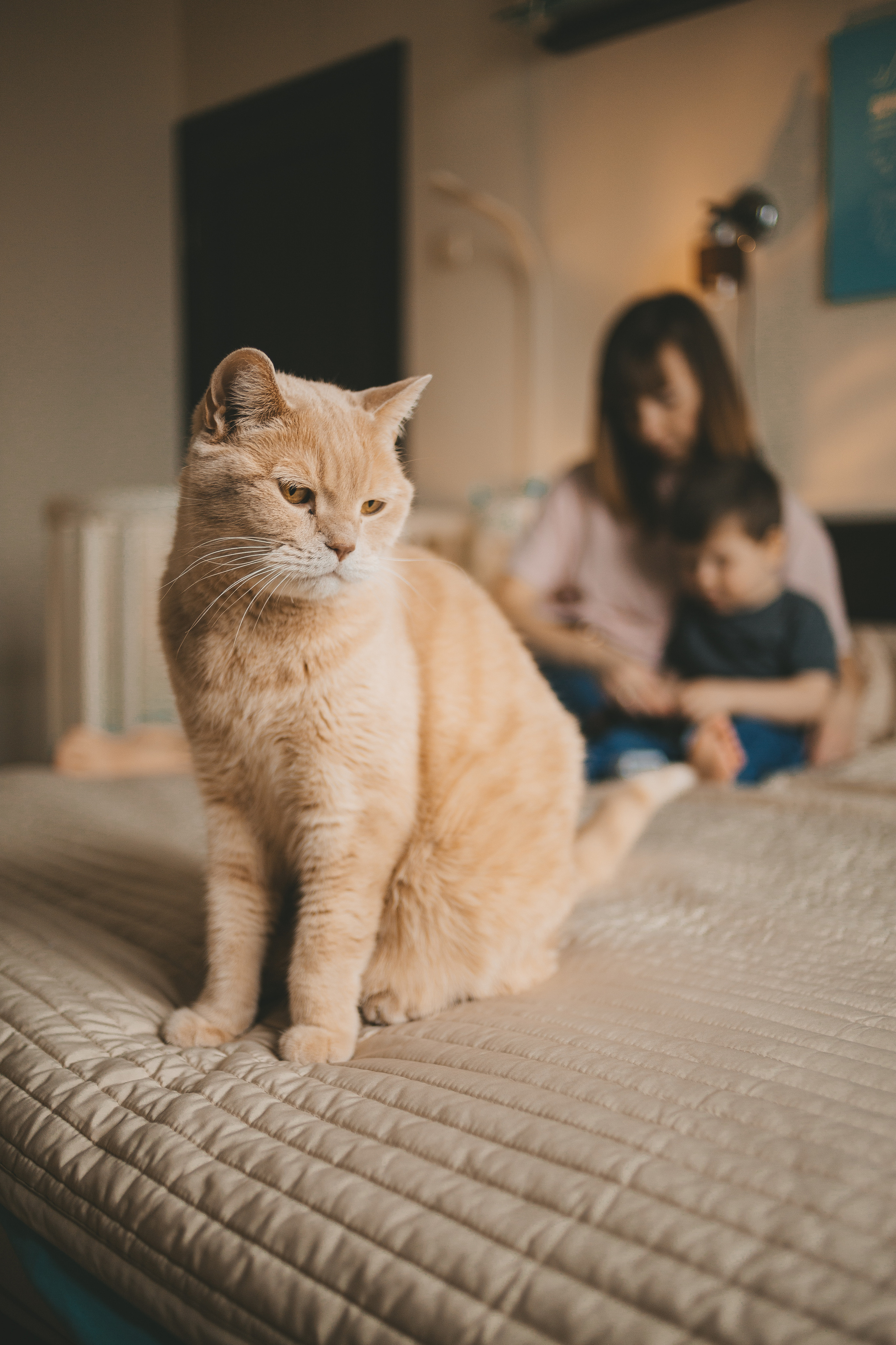 Семейная фотосессия дома. Фотограф Андреева Юлия. Москва