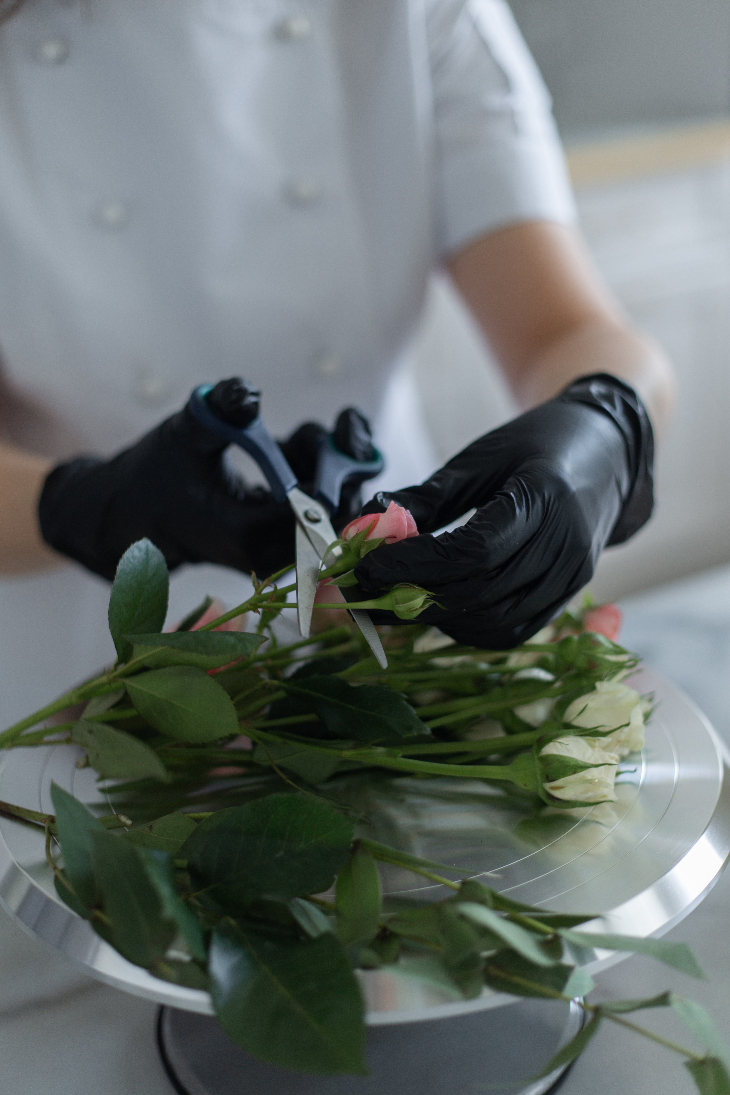 Контент фотосессия. Фотограф Андреева Юлия. Москва