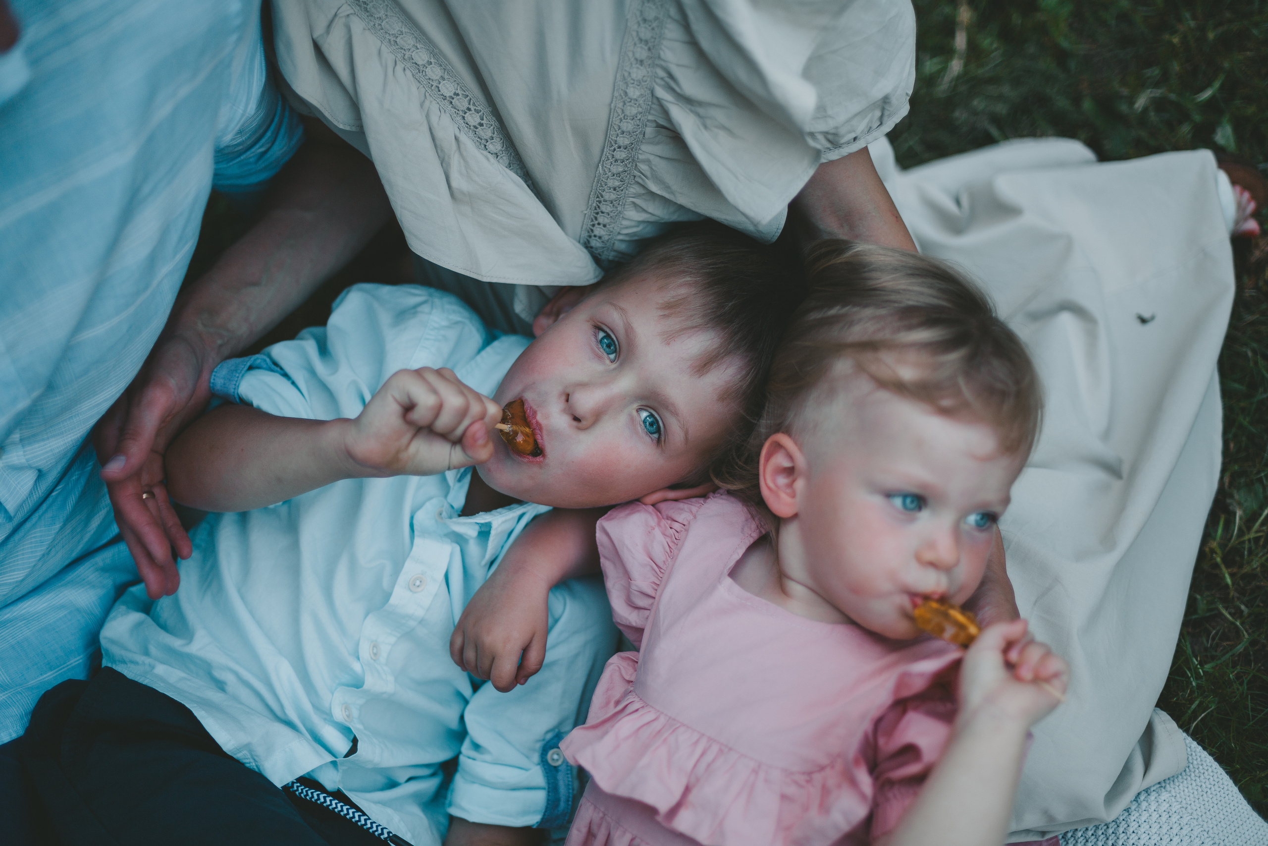 Семейная фотосессия на закате в парке. Фотограф Андреева Юлия. Москва