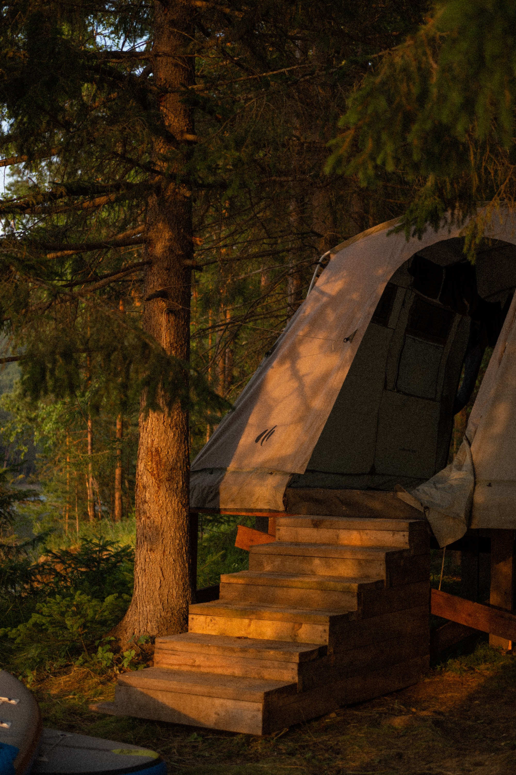 Бирюса 2025. Детали. Фотограф Кощеева Дарья