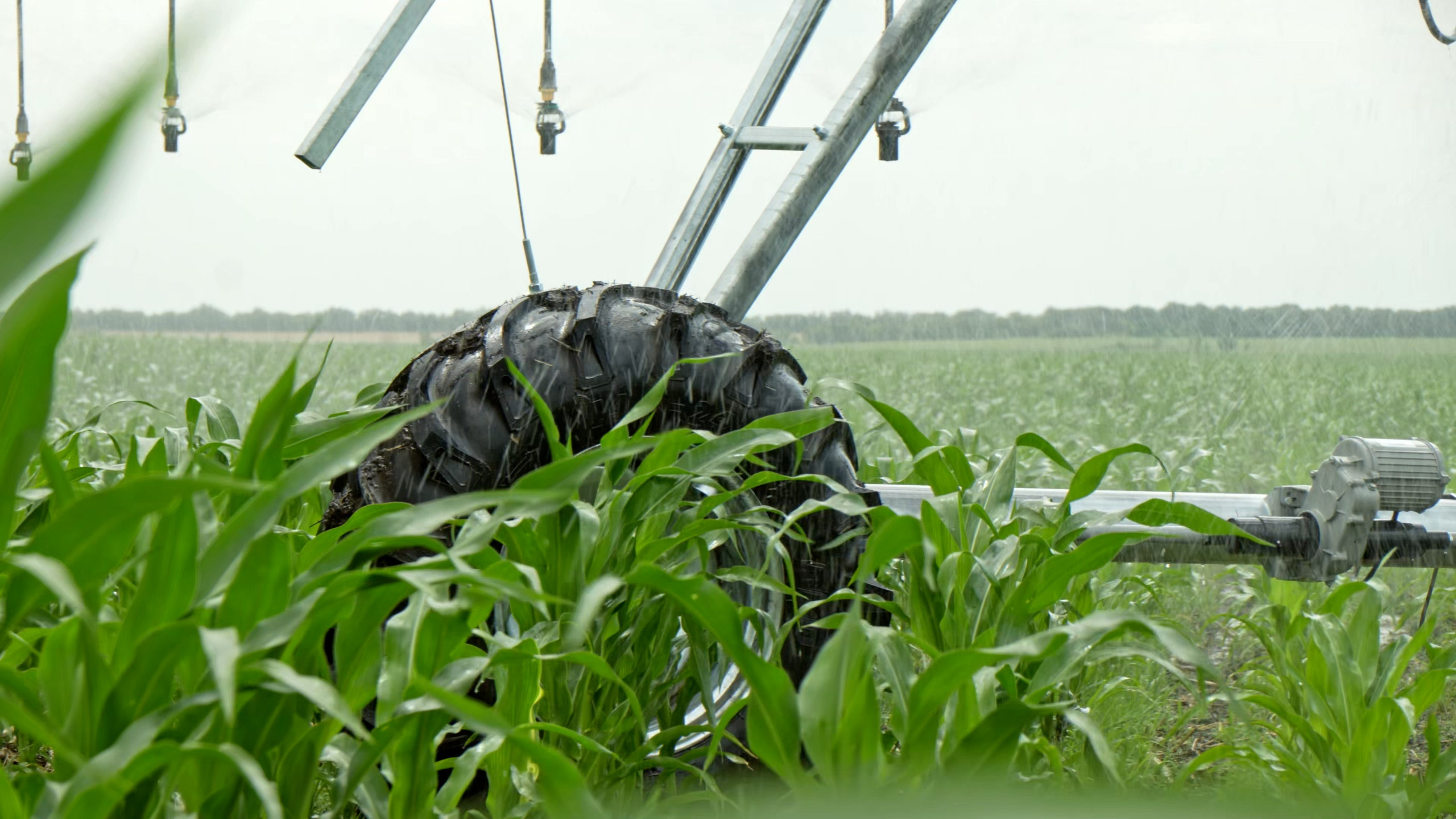 Аграриям и промышленности. Видеосъемка для бизнеса Воронеж