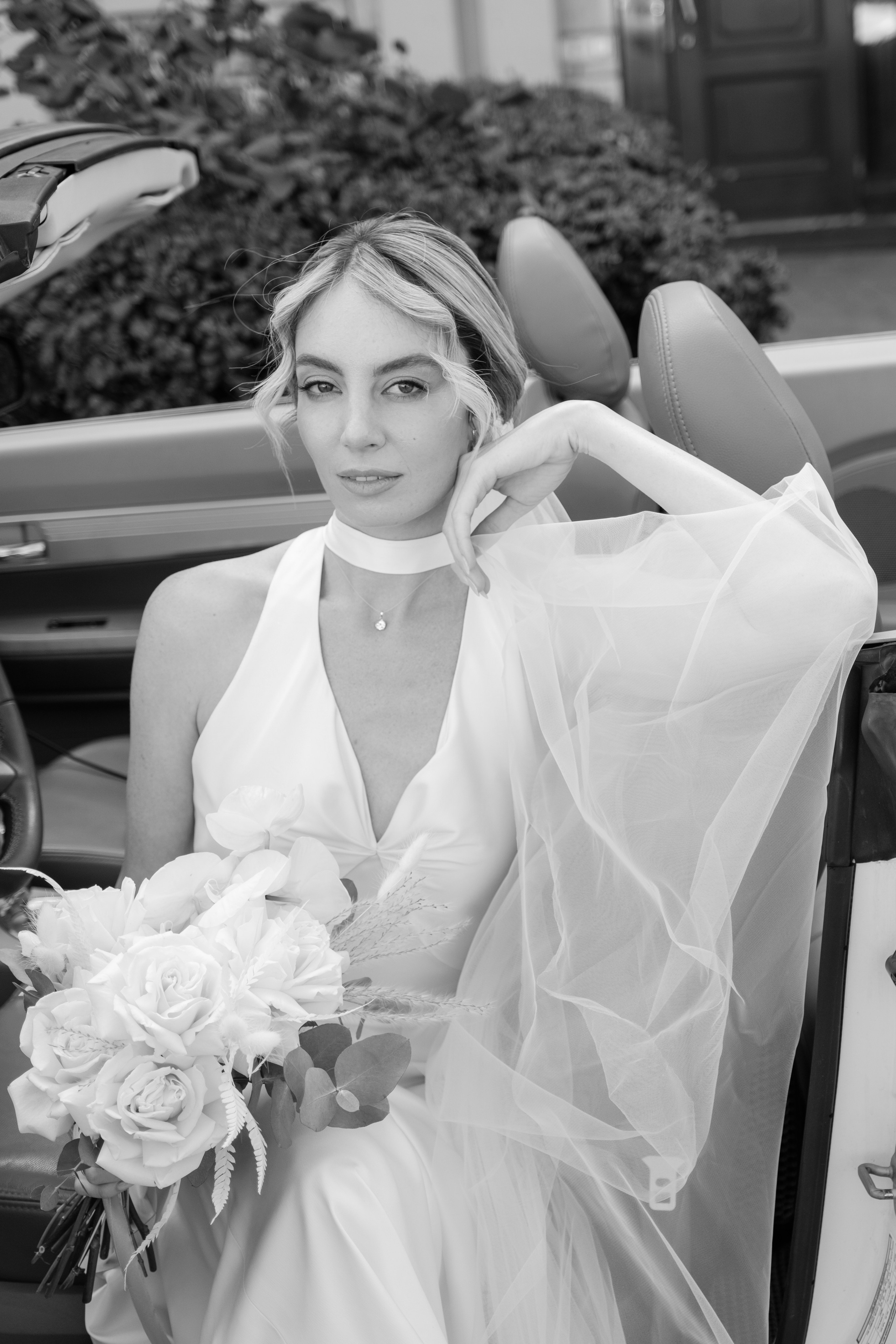 Alexander Alina. Wedding photographer