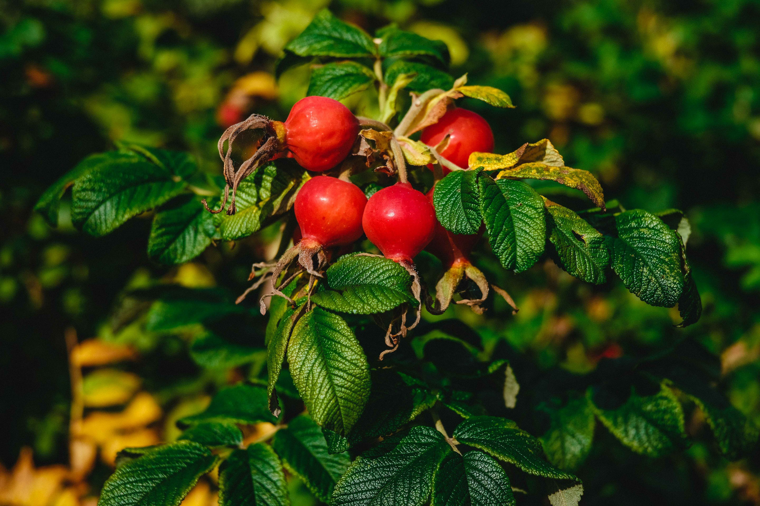 2023.09. Фотограф Алексей Алексеев