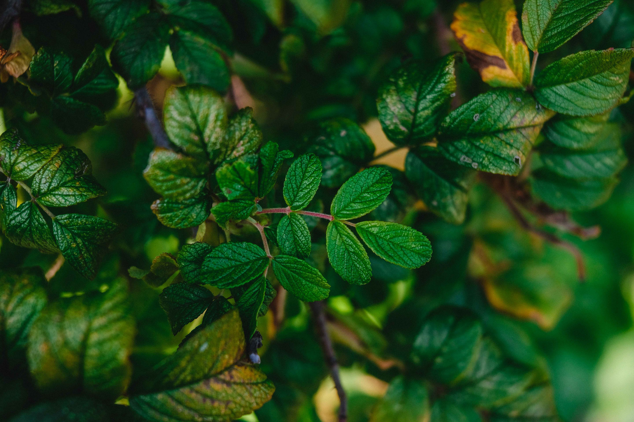 2023.09. Фотограф Алексей Алексеев