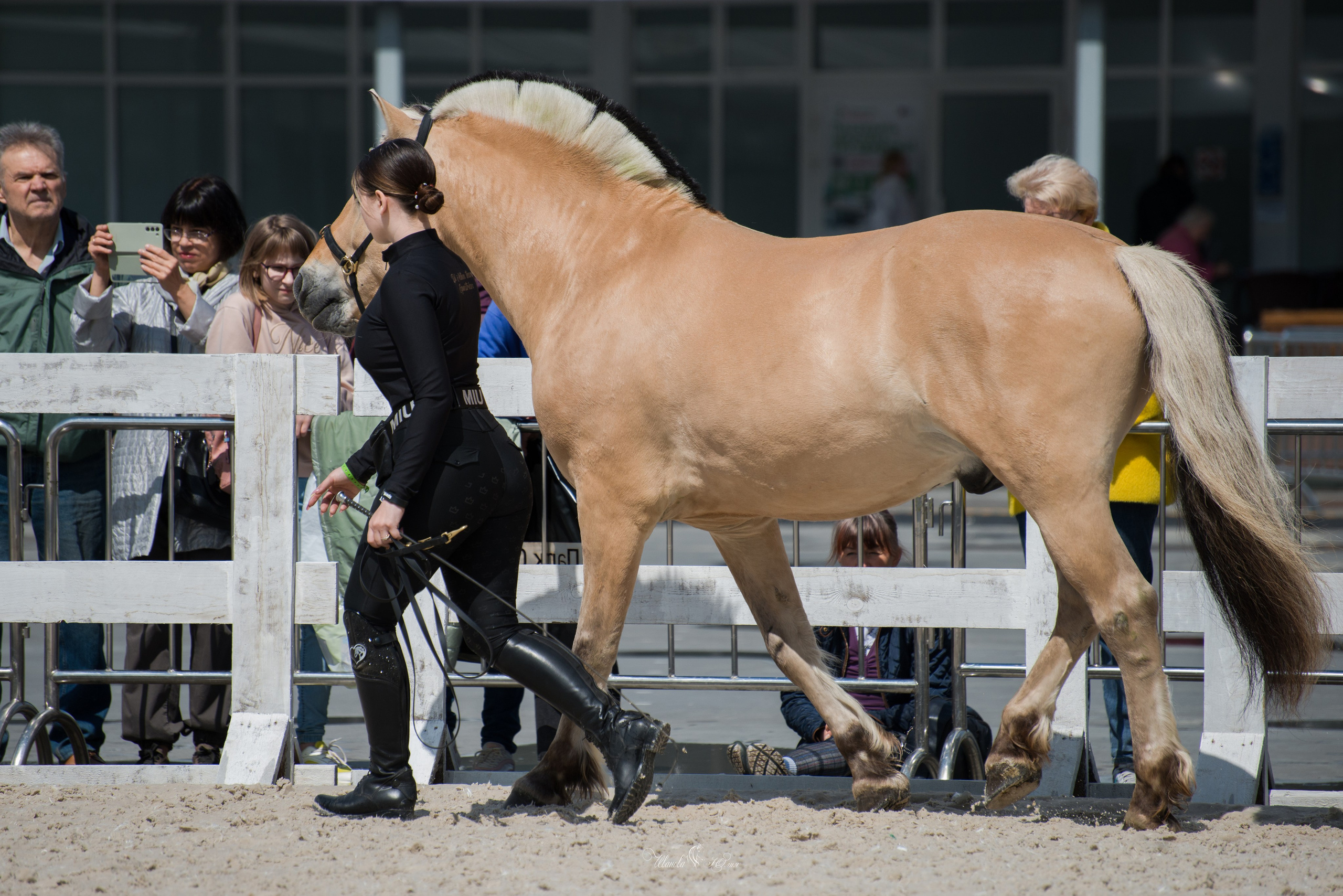 Эквирос, Москва. Конный фотограф в Саратове Юлия Иванова