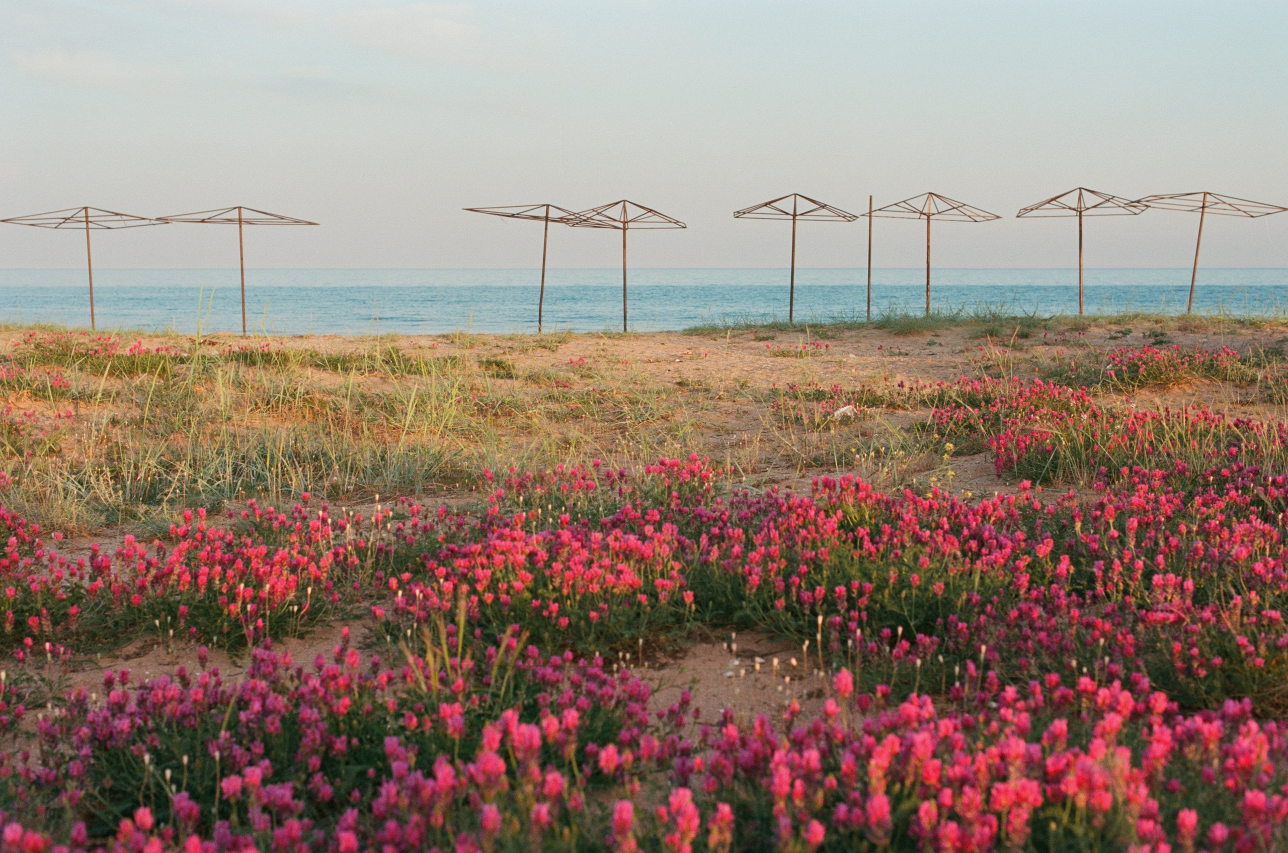 Champagne supernova // ukraine, crimea II. EVER EXPOSED
