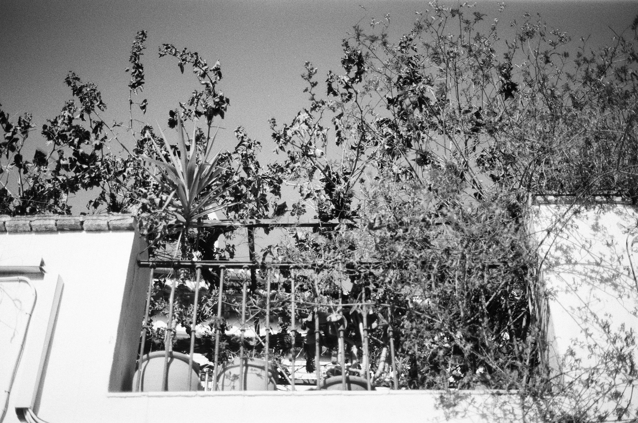 Spanish sahara // spain, granada. EVER EXPOSED