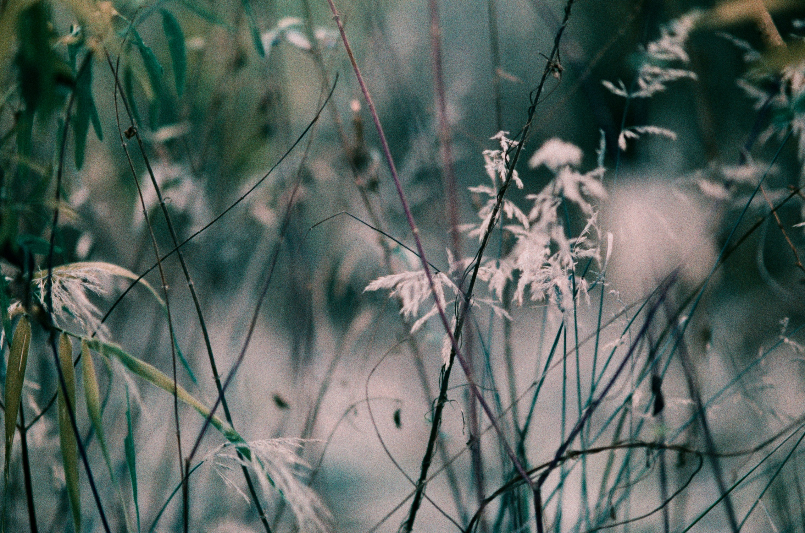 Post blue. EVER EXPOSED