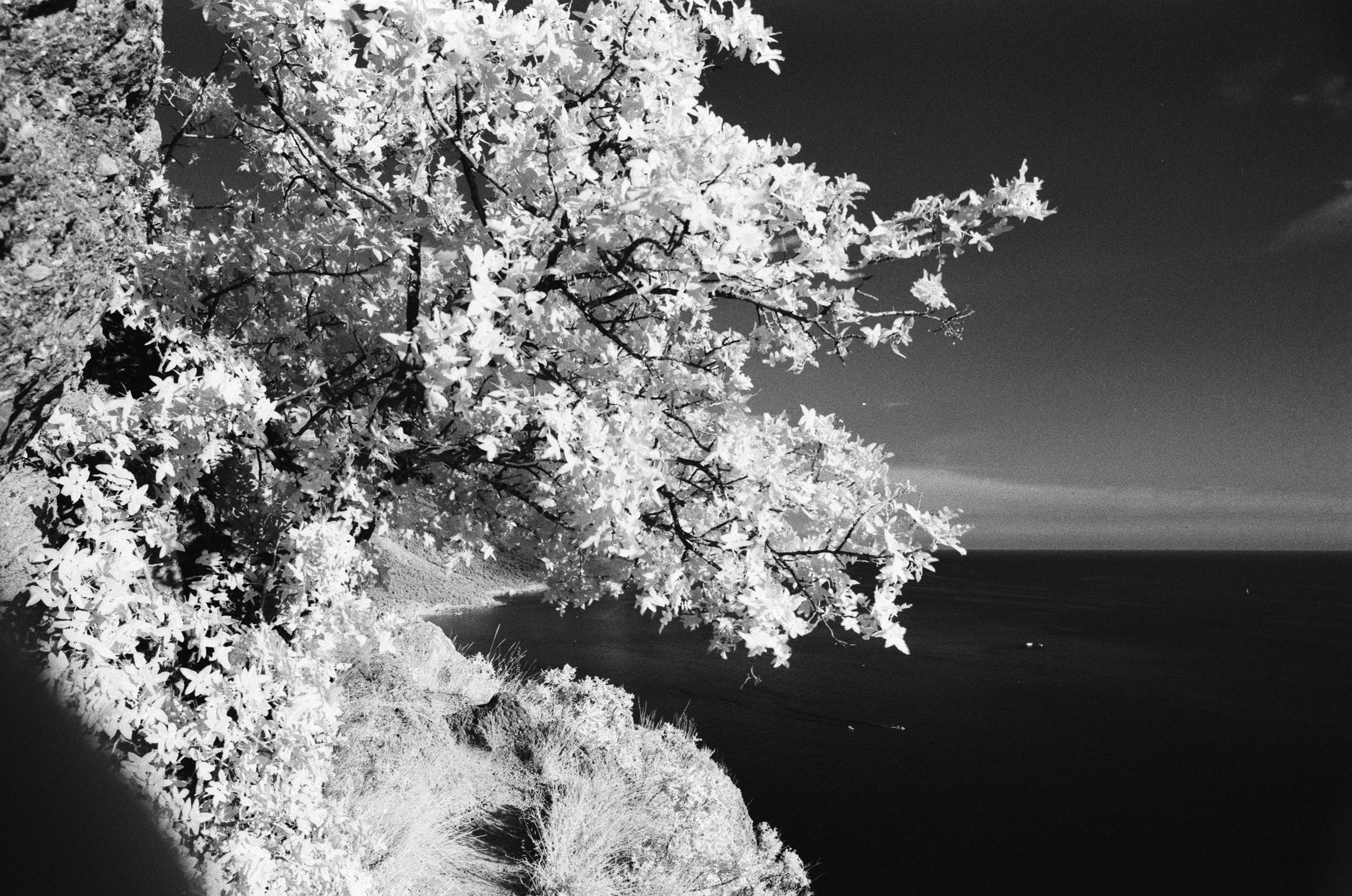 Point of no reply // ukraine, crimea VII. EVER EXPOSED