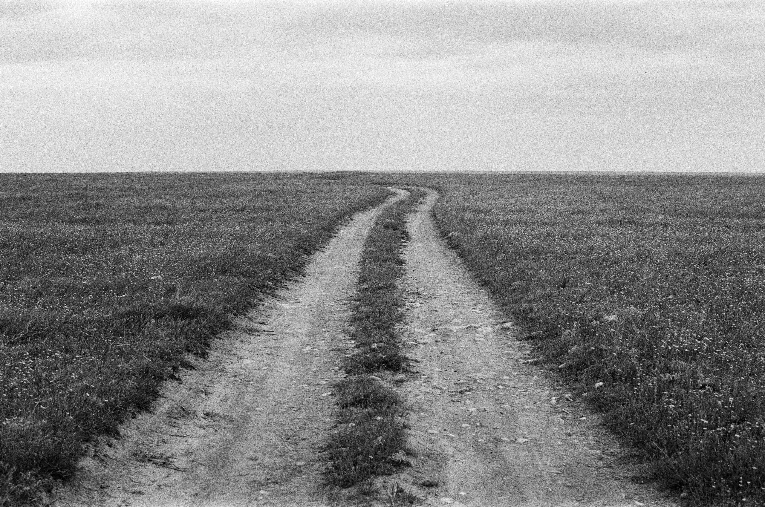 Move me // ukraine, crimea. EVER EXPOSED