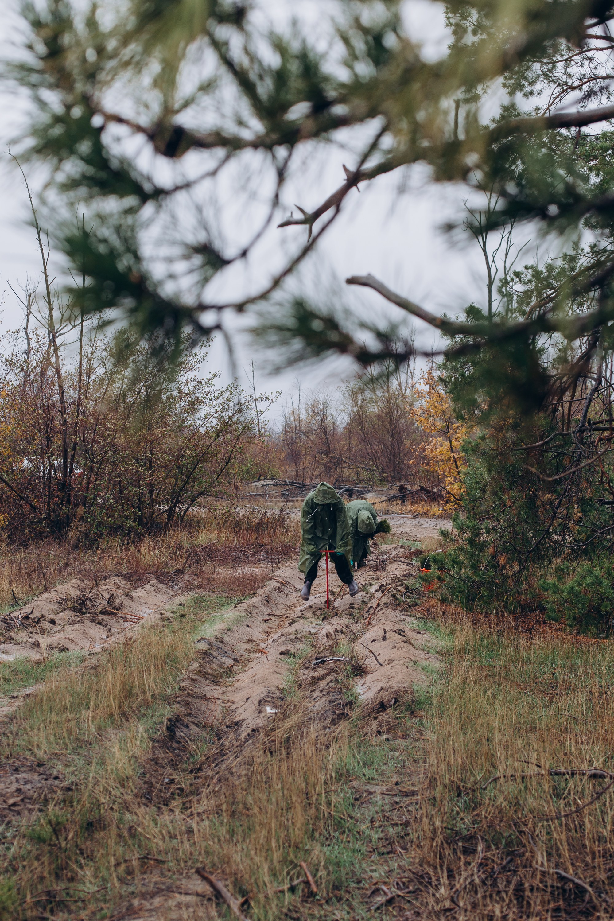 Посадка деревьев в Усть-Донецком районе. Артём Панфилов — Свадебный и семейный фотограф в Ростове-на-Дону