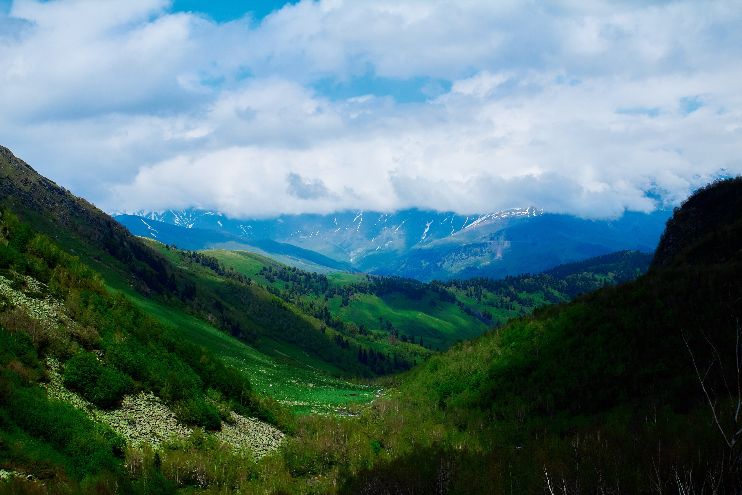 Пейзаж. Репортажный фотограф | Леонид Черков