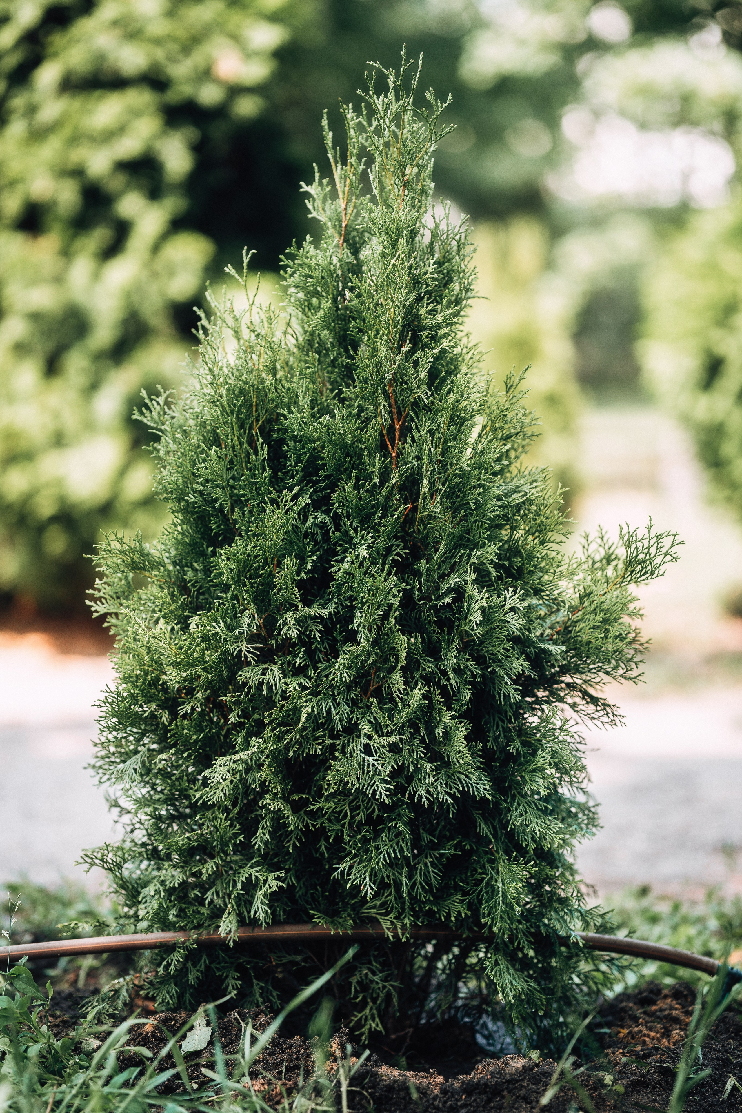 Благотворительная репортажная фотосъемка. Свадебный и репортажный фотограф в Воронеже Роман Янко