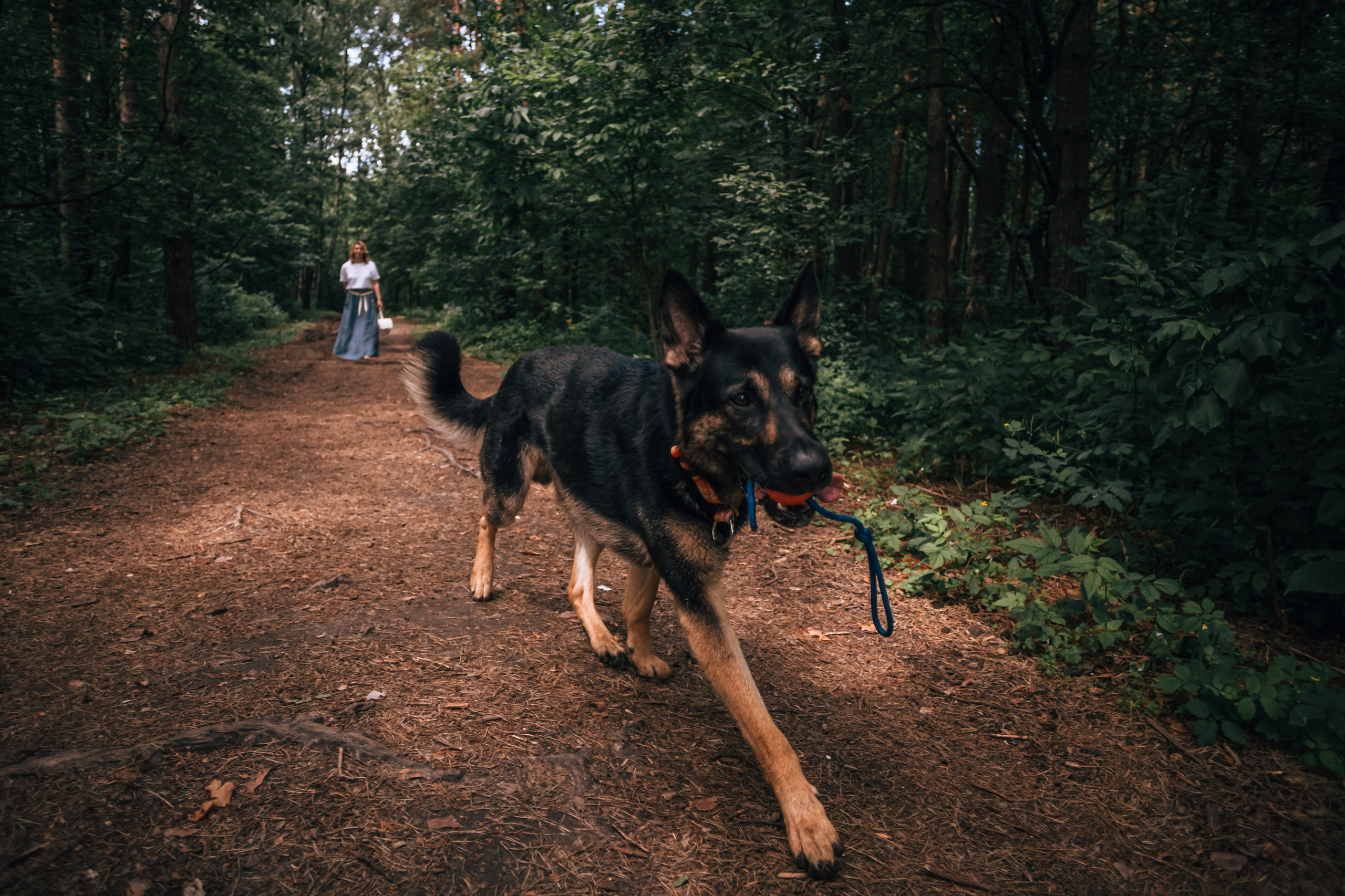 Лесная летняя фотопрогулка. Фотограф-анималист Татьяна Степанова