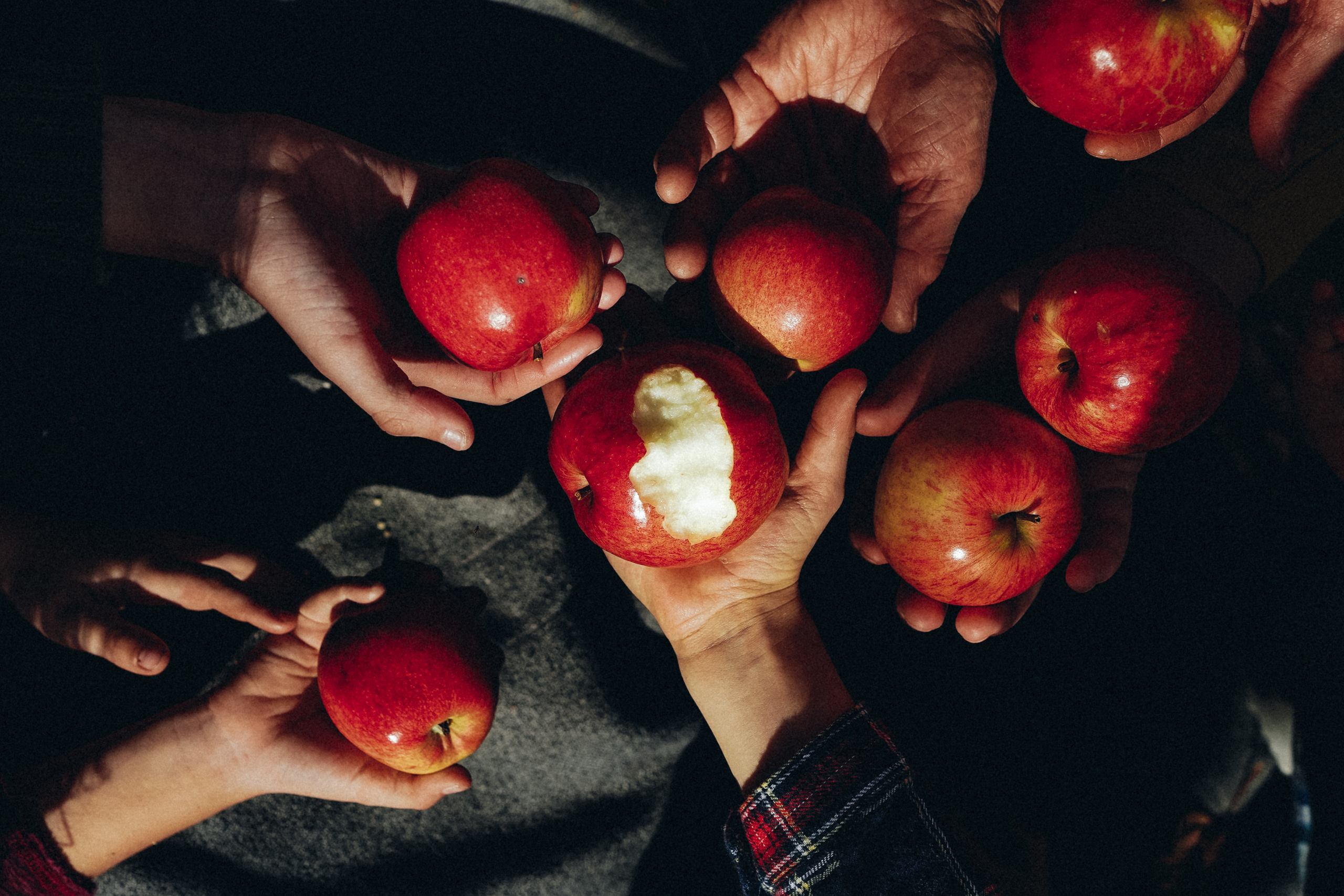 Лесные феи. Ася Краснова