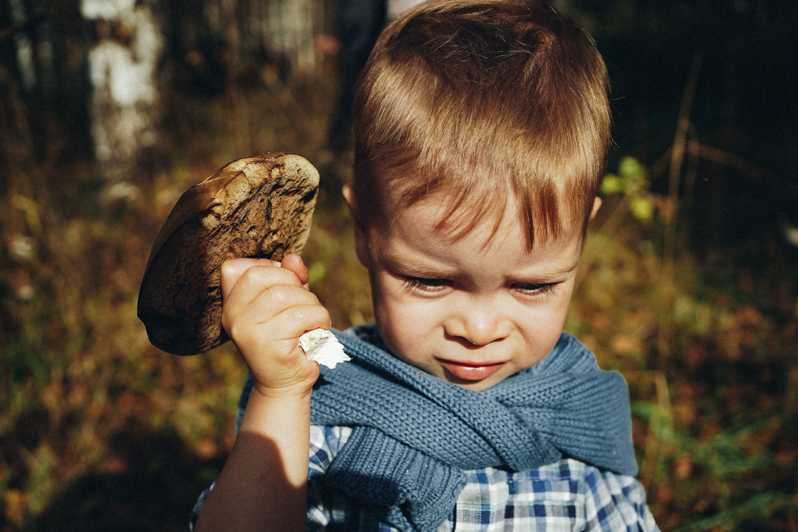 Лесные феи. Ася Краснова