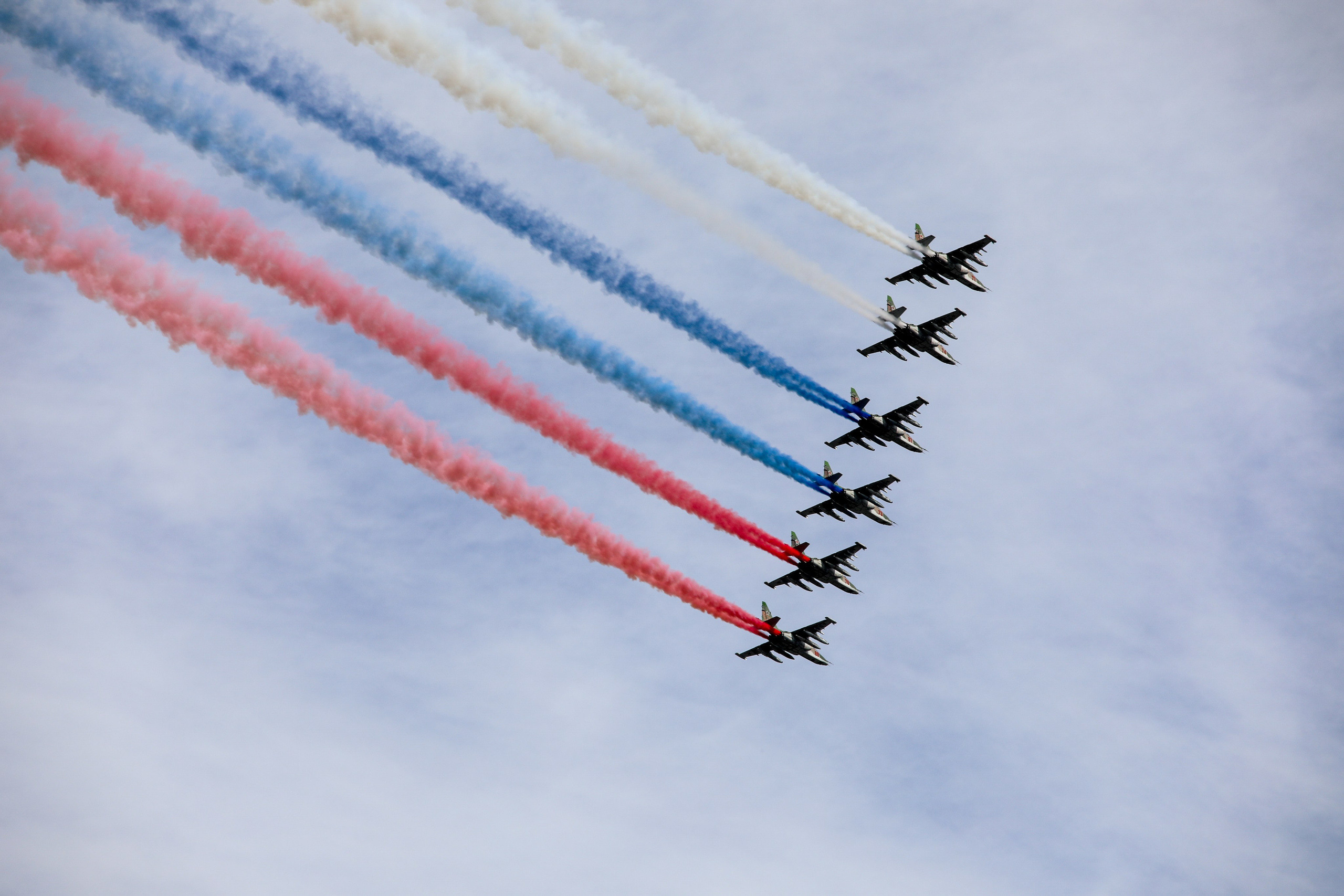 Репортаж. Дмитрий Старков — фотограф