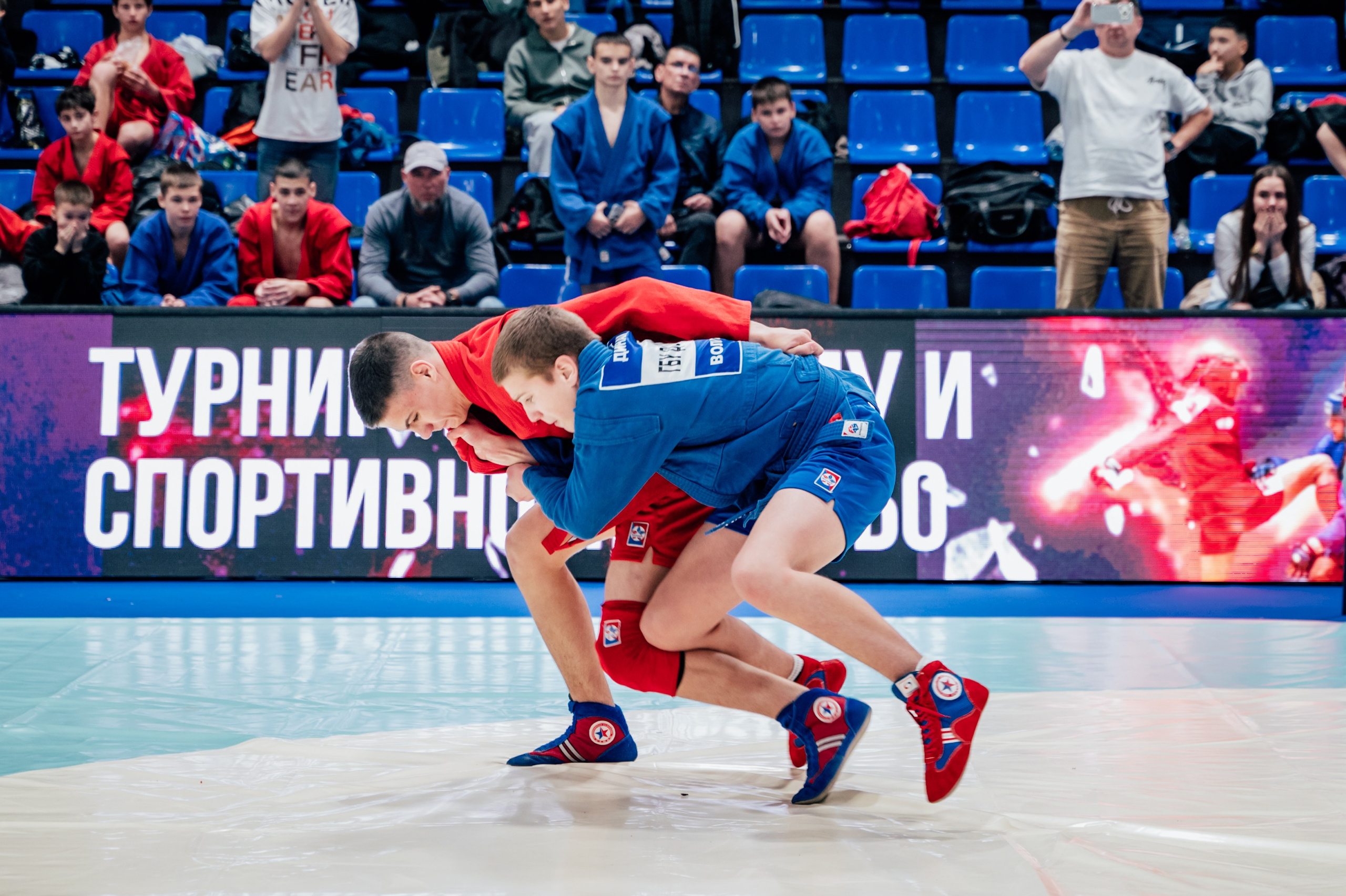 Турнир по самбо ЮФО