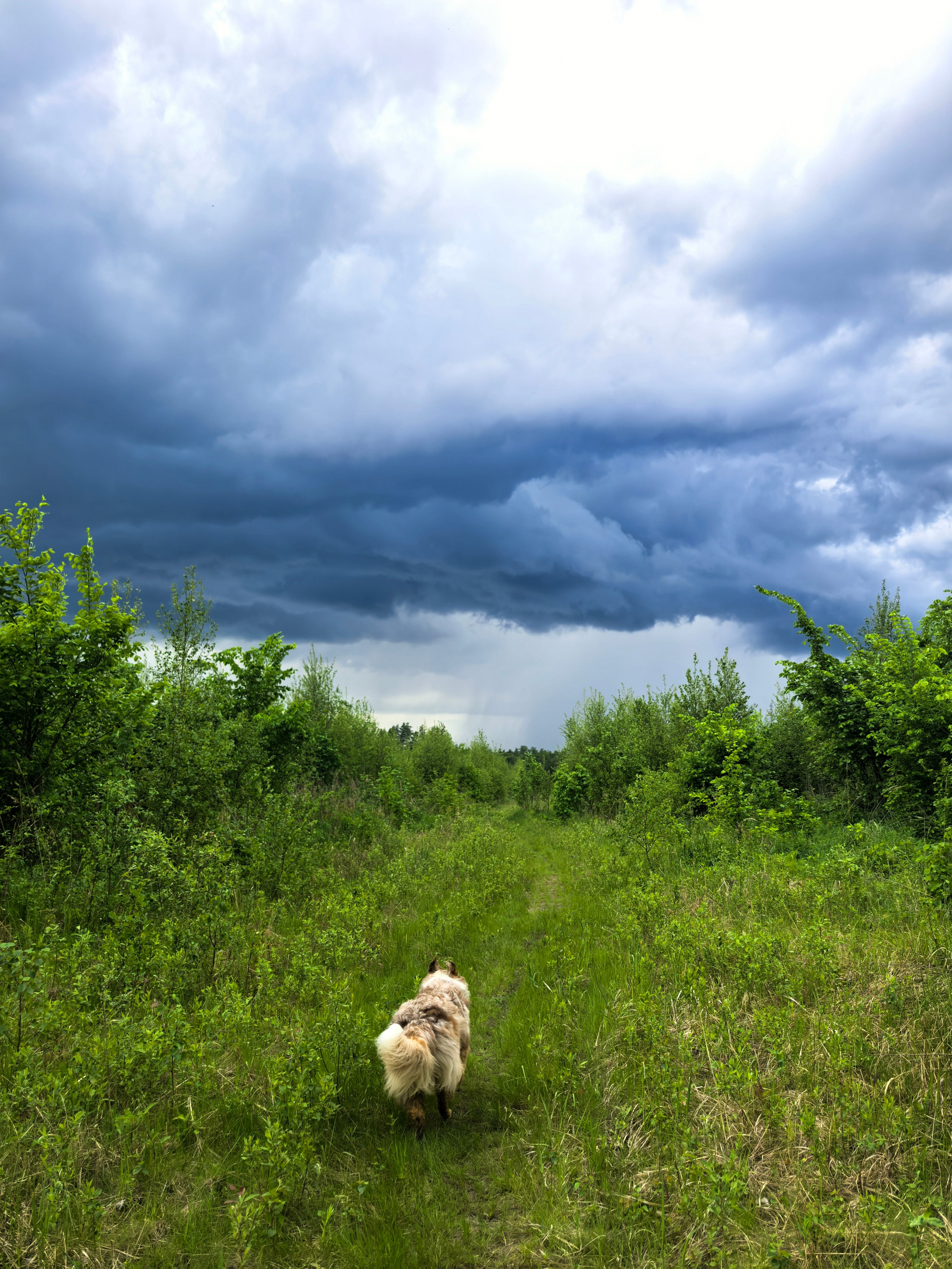 Ваши фотографии. Фотограф анималист Осипчикова Мария