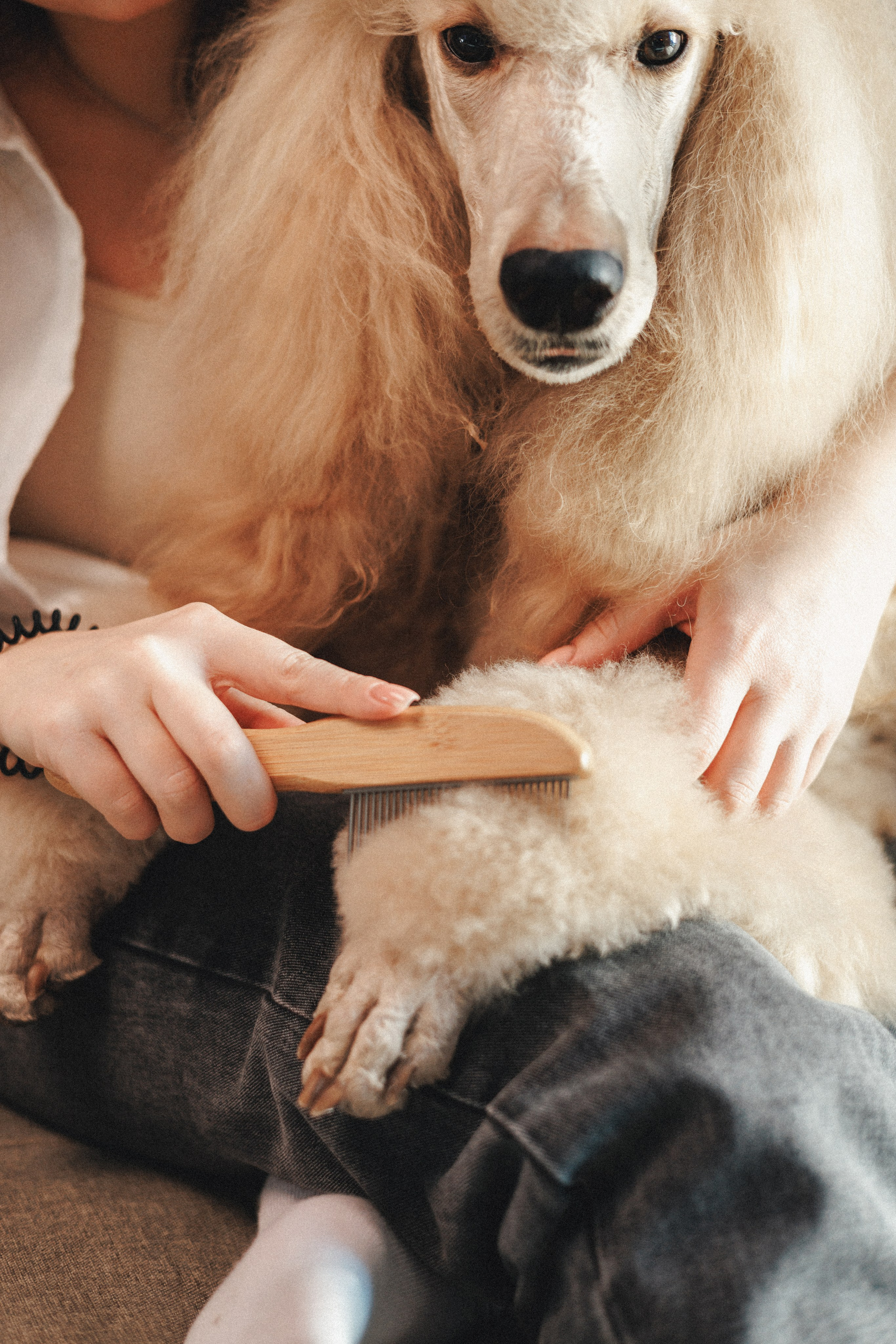 M-Pets. Фотограф анималист Осипчикова Мария