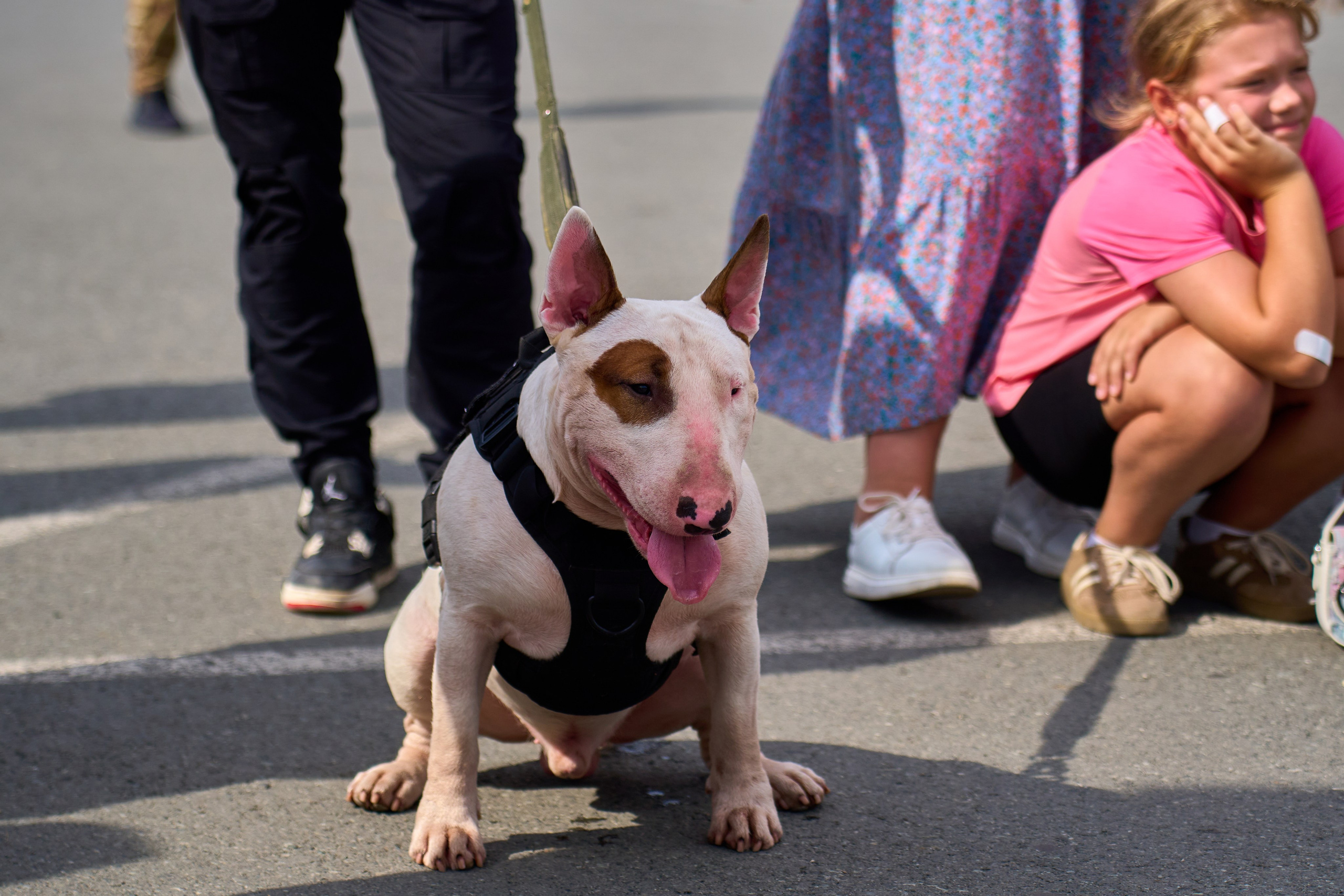 Фестиваль «Русский Двор». Фотограф во Владивостоке