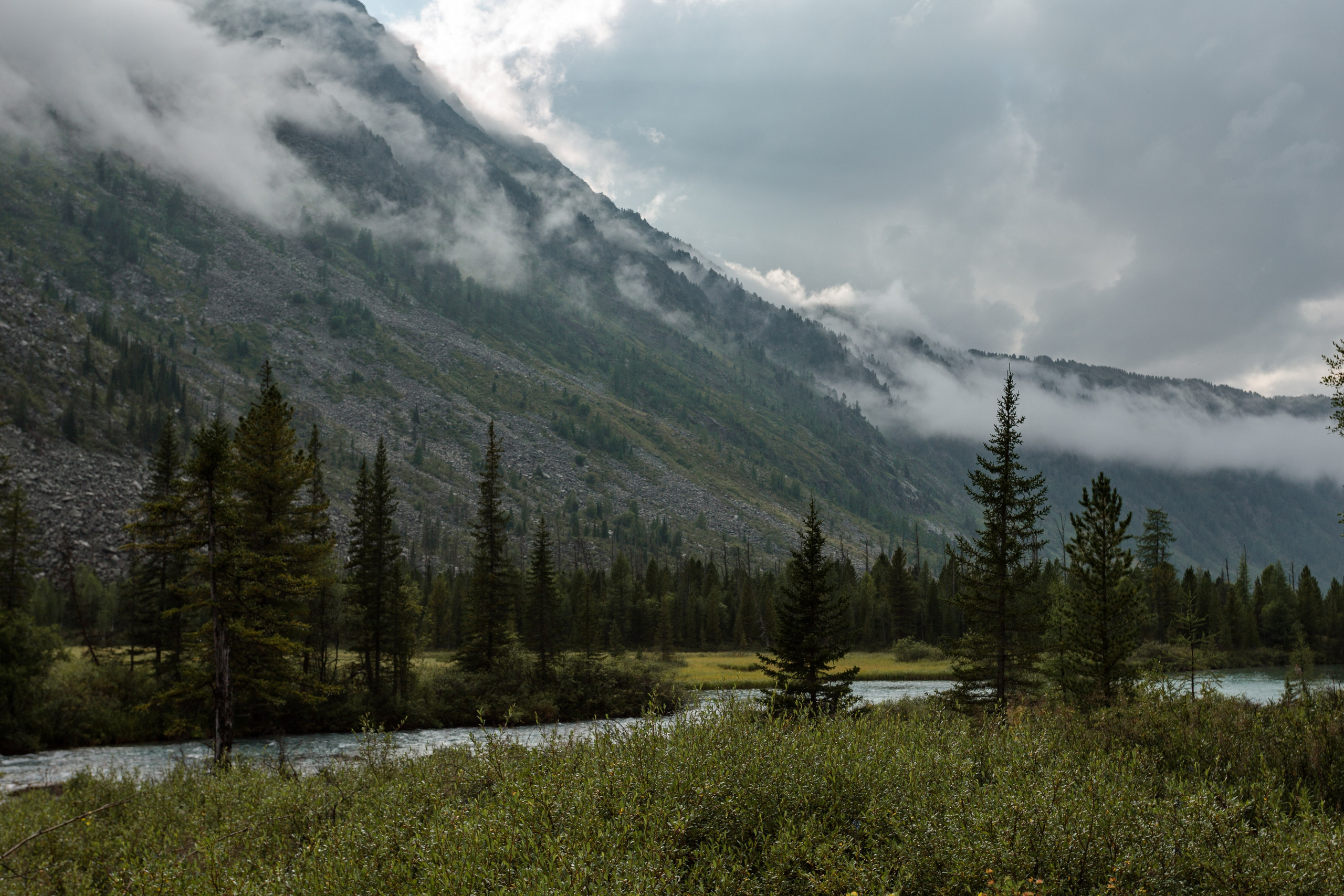 Катунский заповедник, Республика Алтай. Репортажный фотограф в Крыму Ксения Гасица