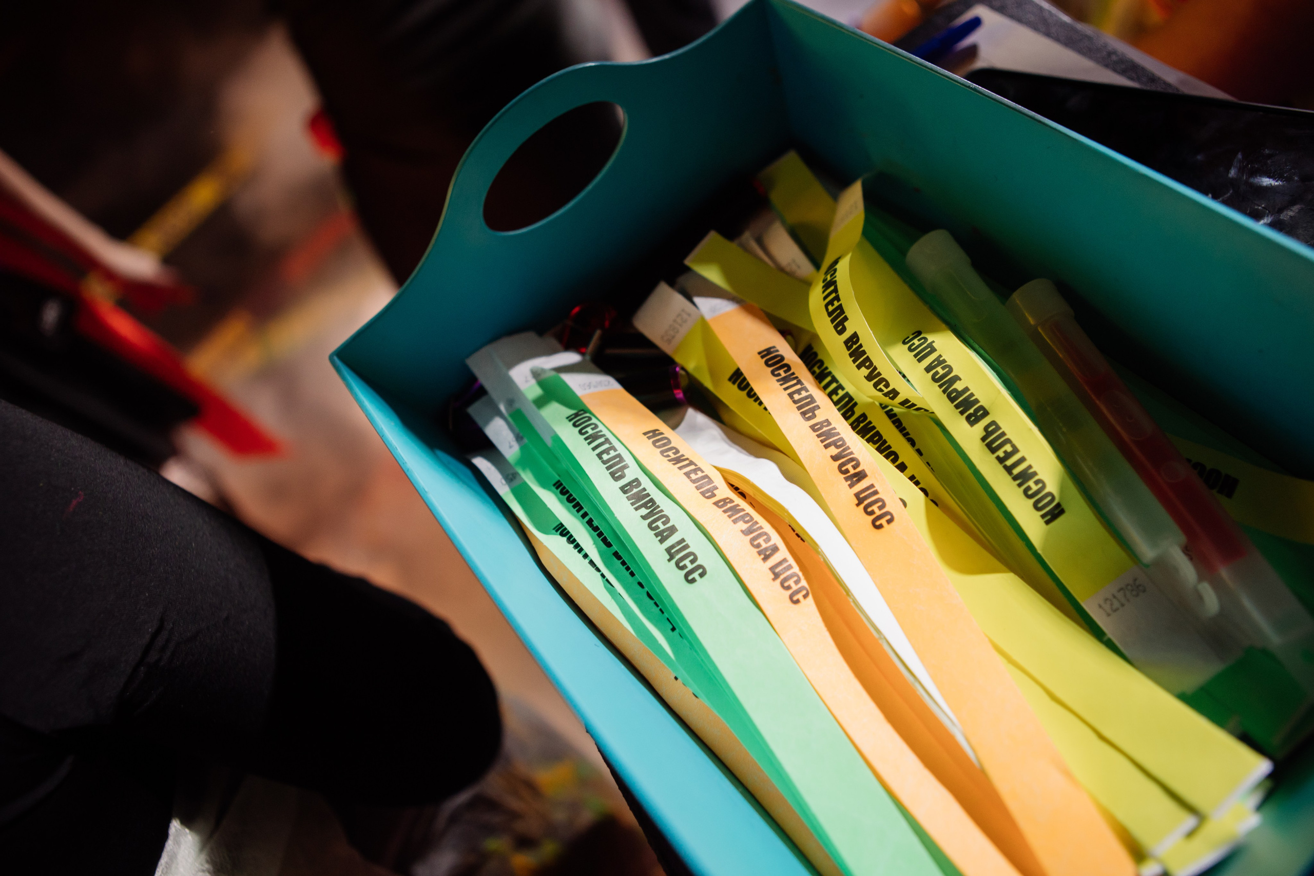 ЦСС 17 ЛЕТ — ШТАММ ЦСС [PART II–V.Trendberg]. СВОИ. ФОТООТЧЕТЫ-СОБЫТИЯ-МЕСТА