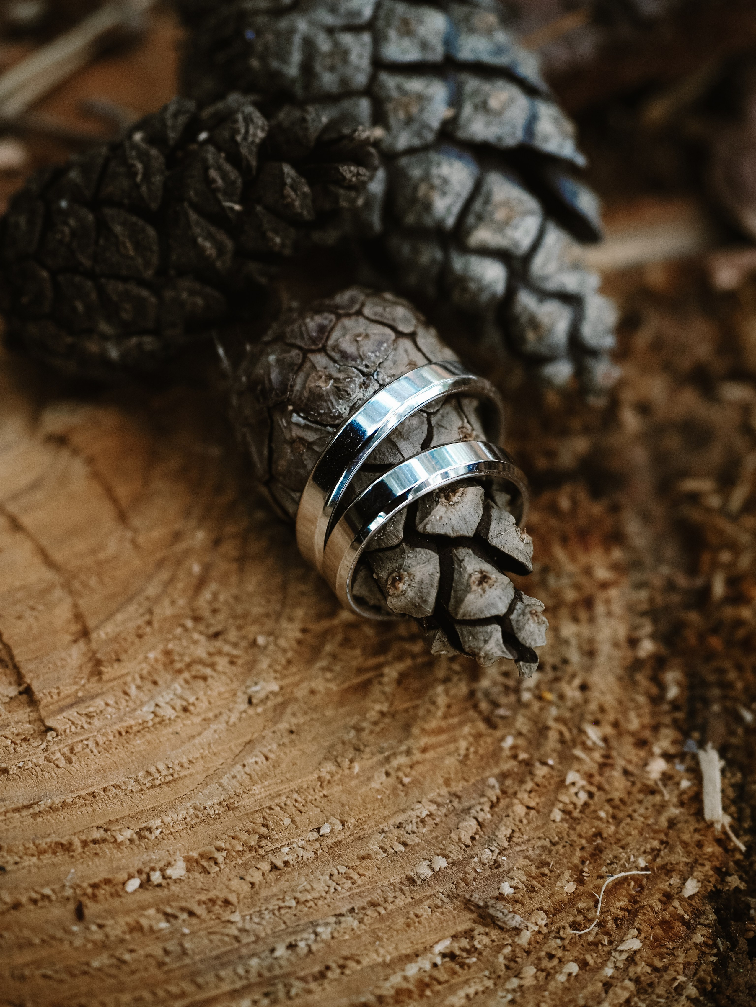 Даша и Максим. Фотограф Рязань. Семейный Свадебный фотограф