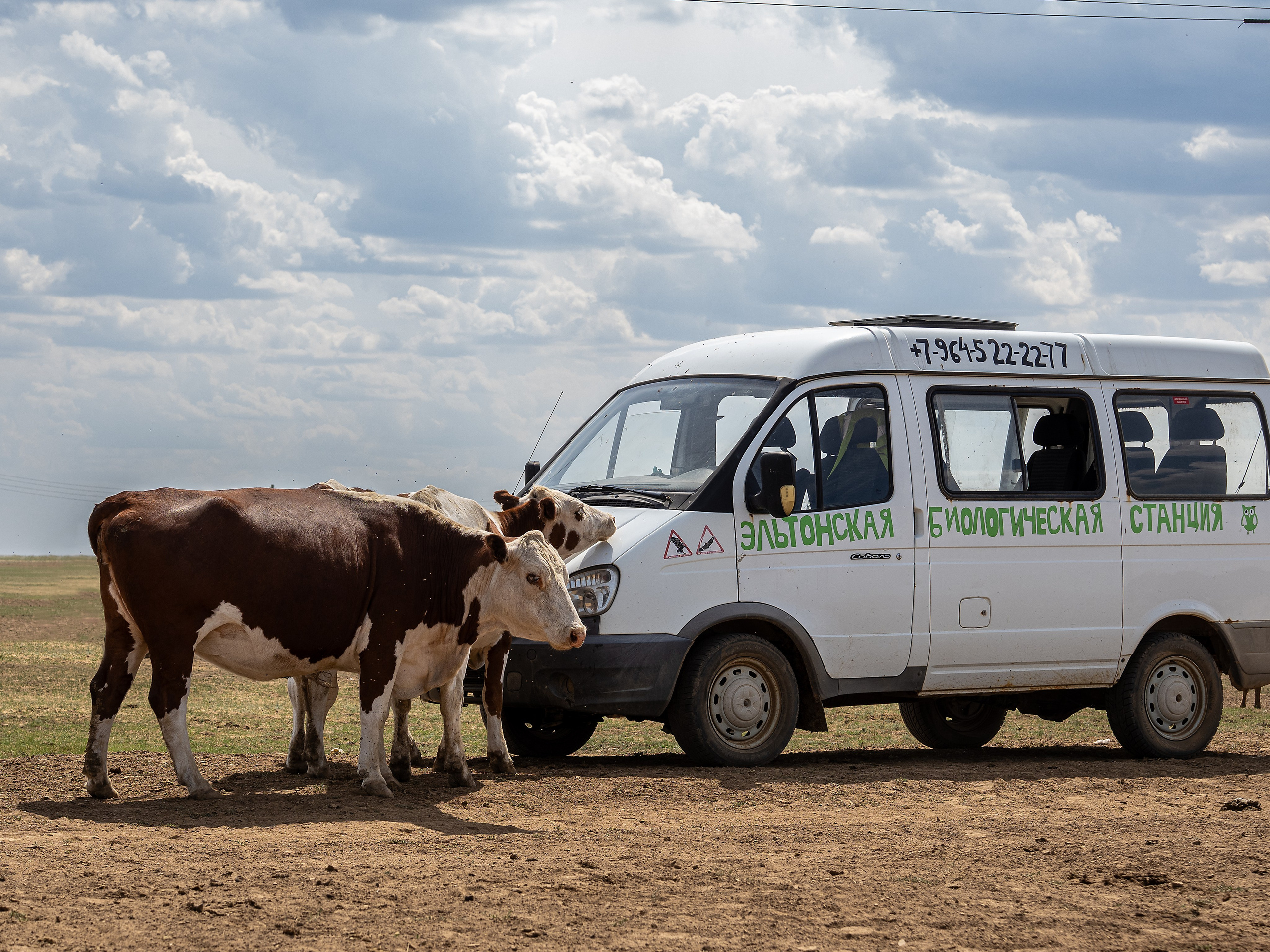 Эльтон 2024. Творческие сьемки