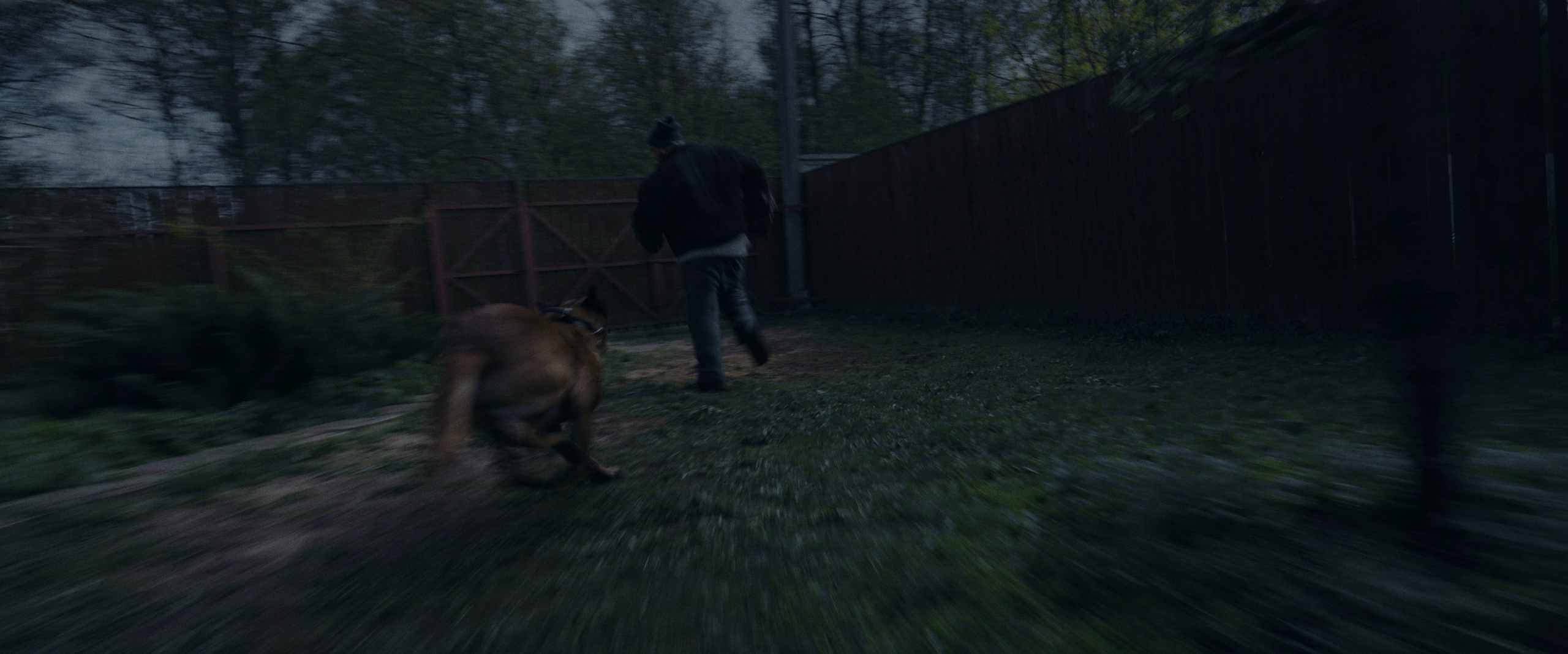 «ЗВЕРЬ» — short film. DANILA KOMKIN — Colorist