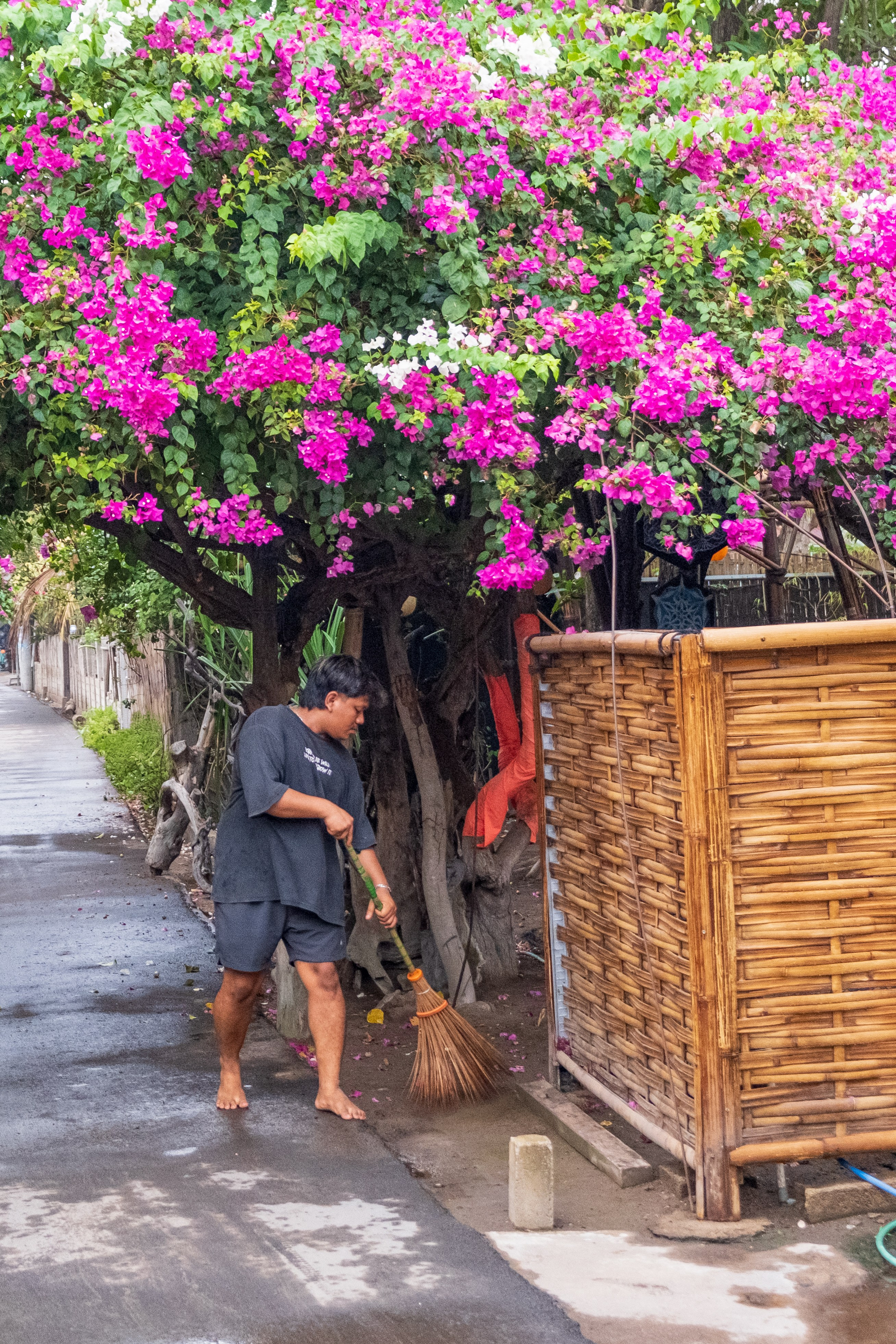 Остров Гили Эйр. Фотографии из путешествий