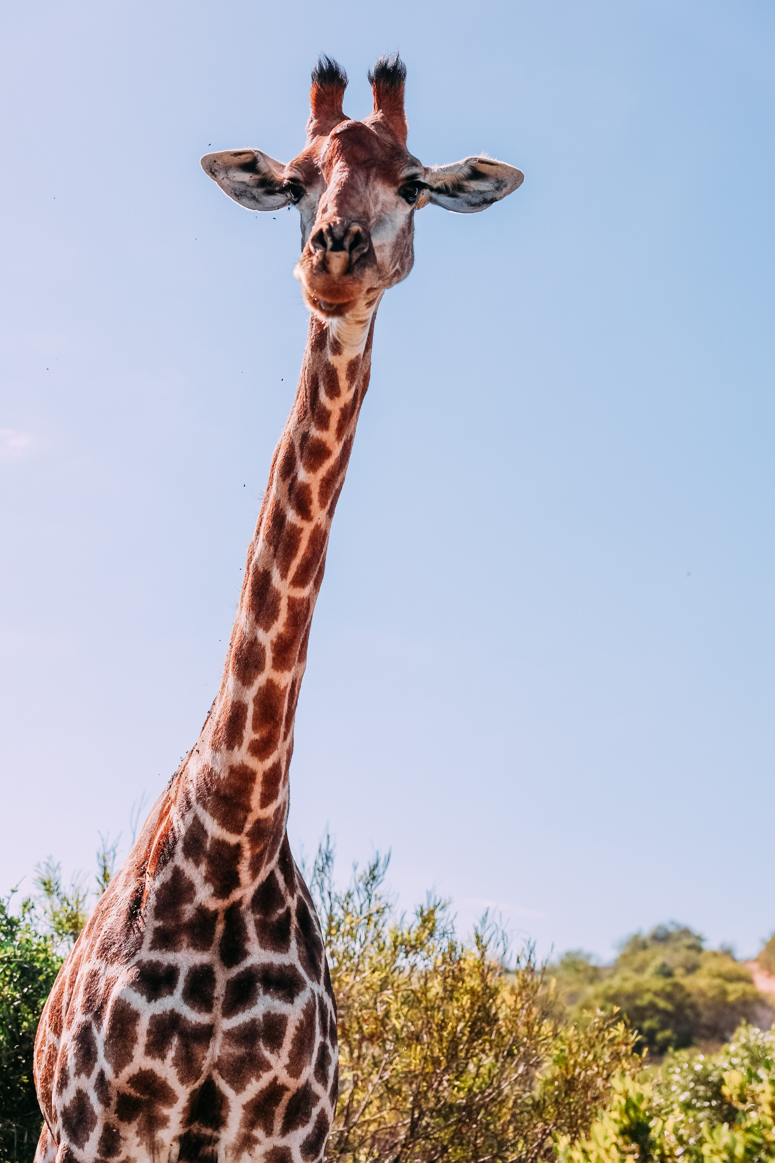 ФОТО ТУРЫ ПО МИРУ. Фотограф Марина Аблаева-Кожедуб