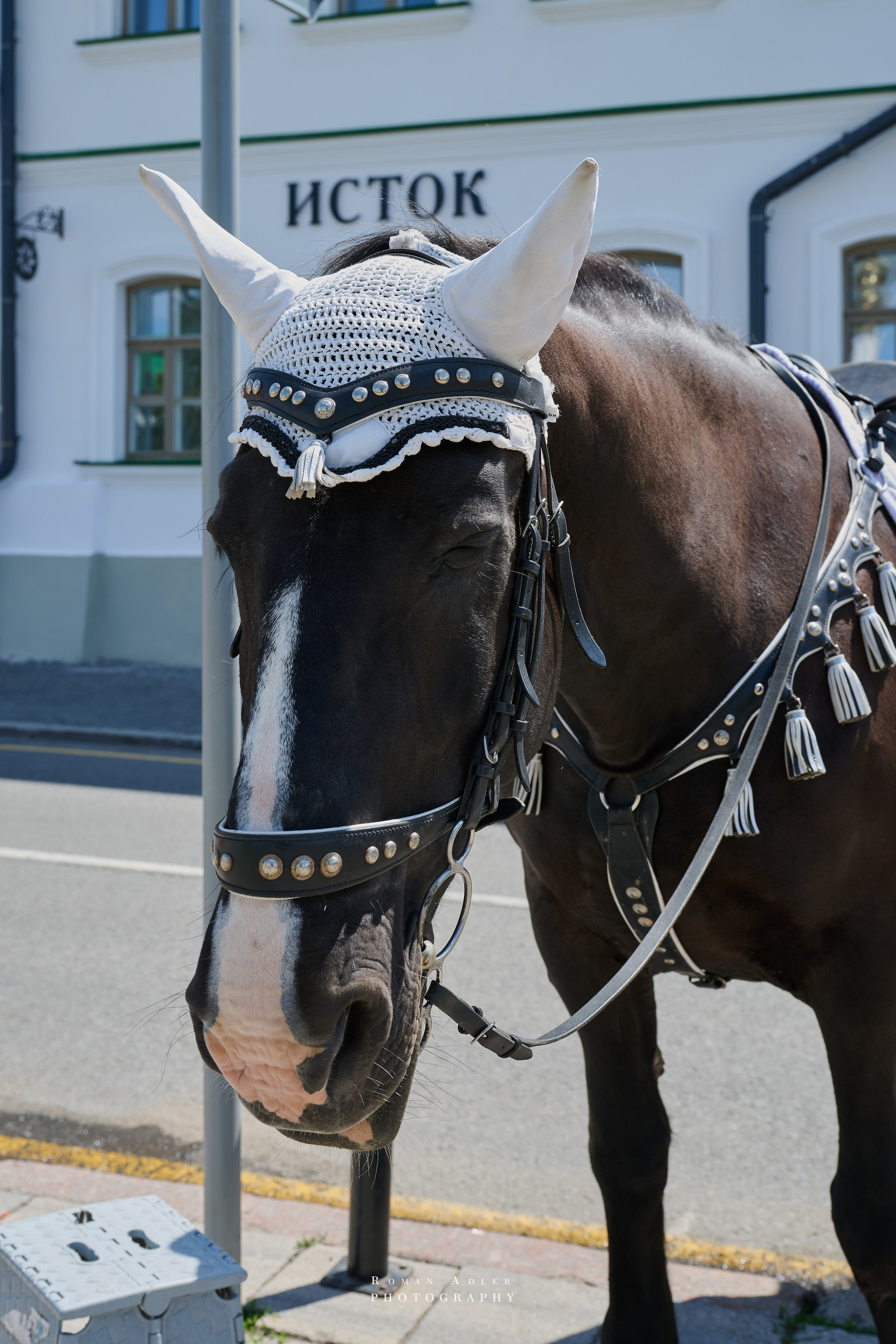 Суздаль. Июнь 2025. Фотограф Роман Адлер