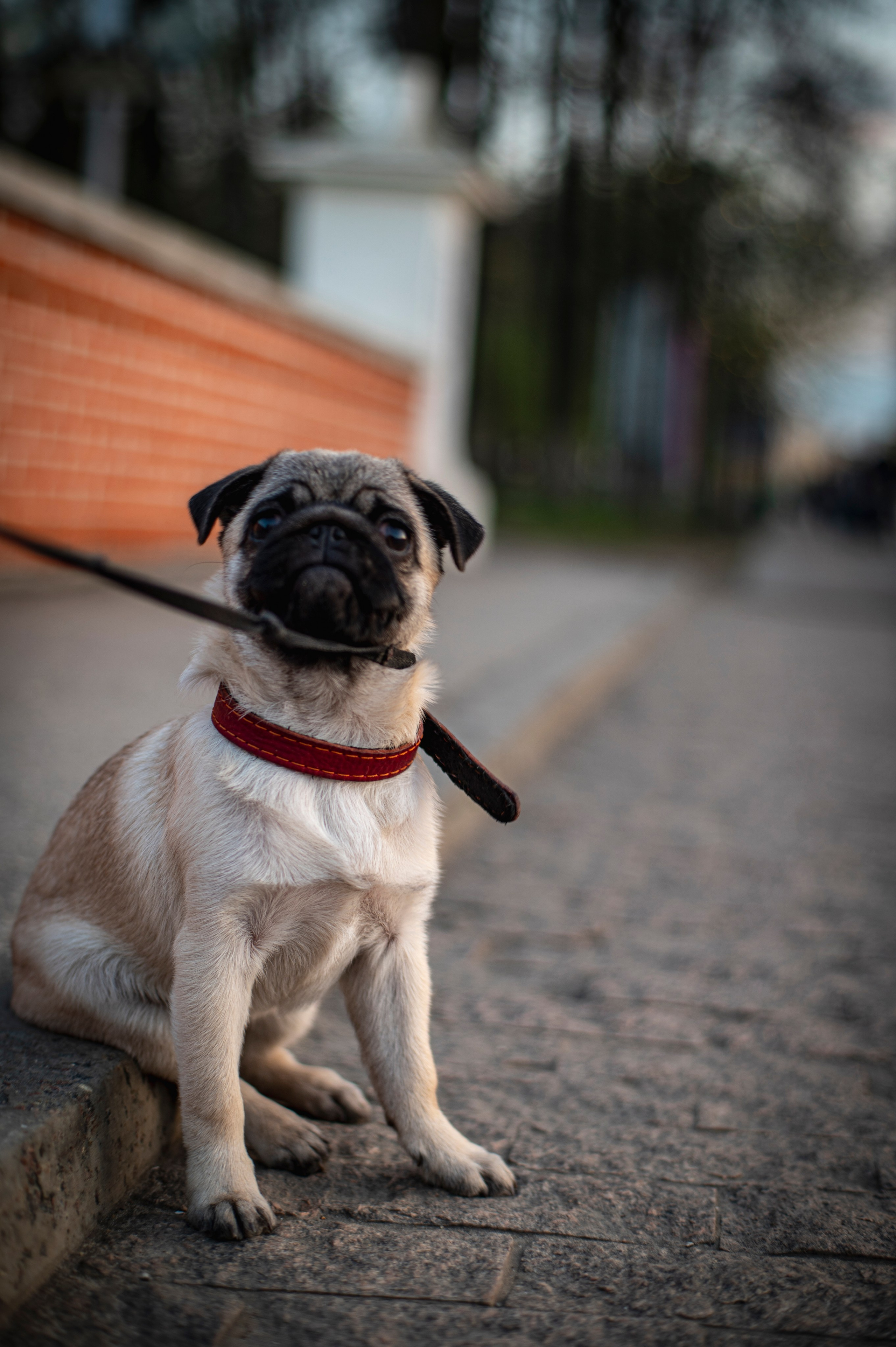 Авторская серия «Обними меня глазами». Фотограф Роман Адлер