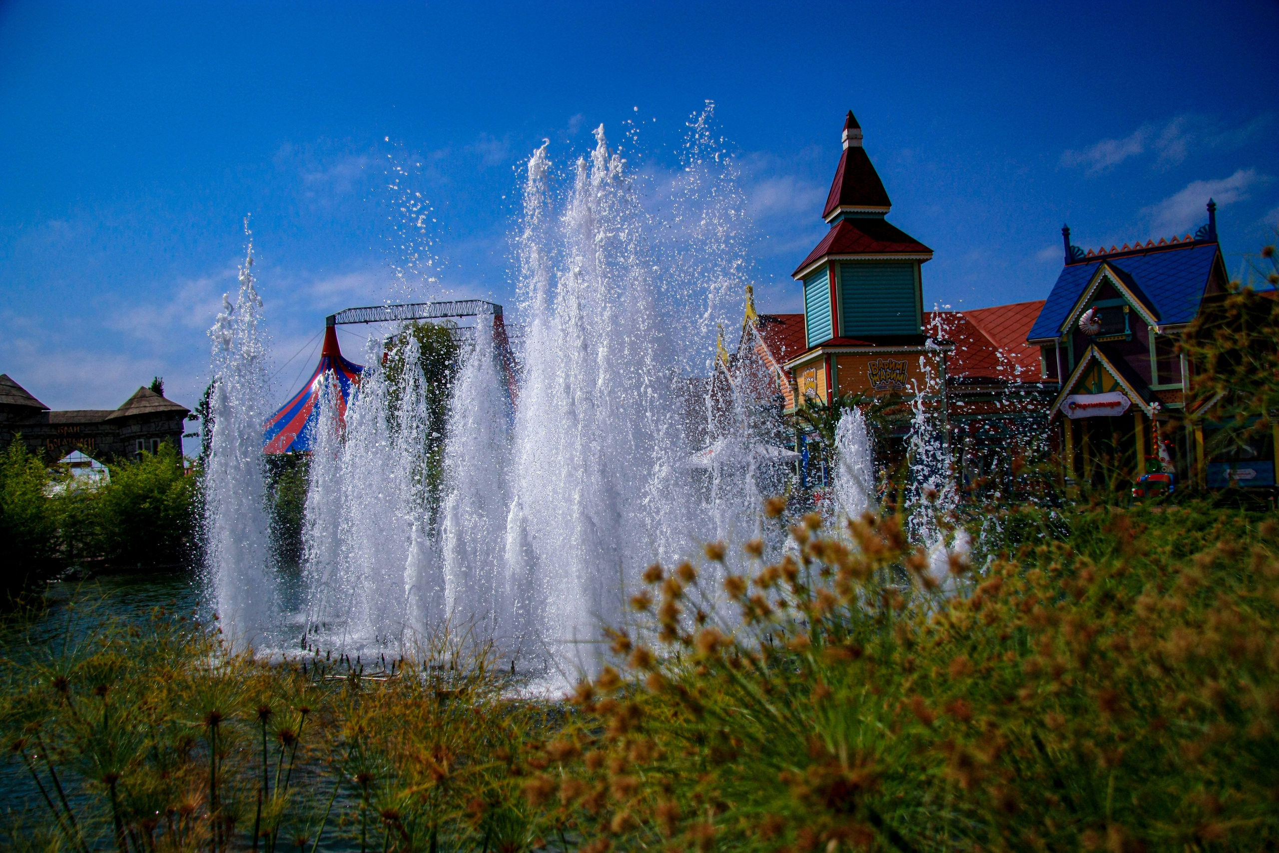 Первые кадры. Сочи — парк. Фотограф Роман Адлер