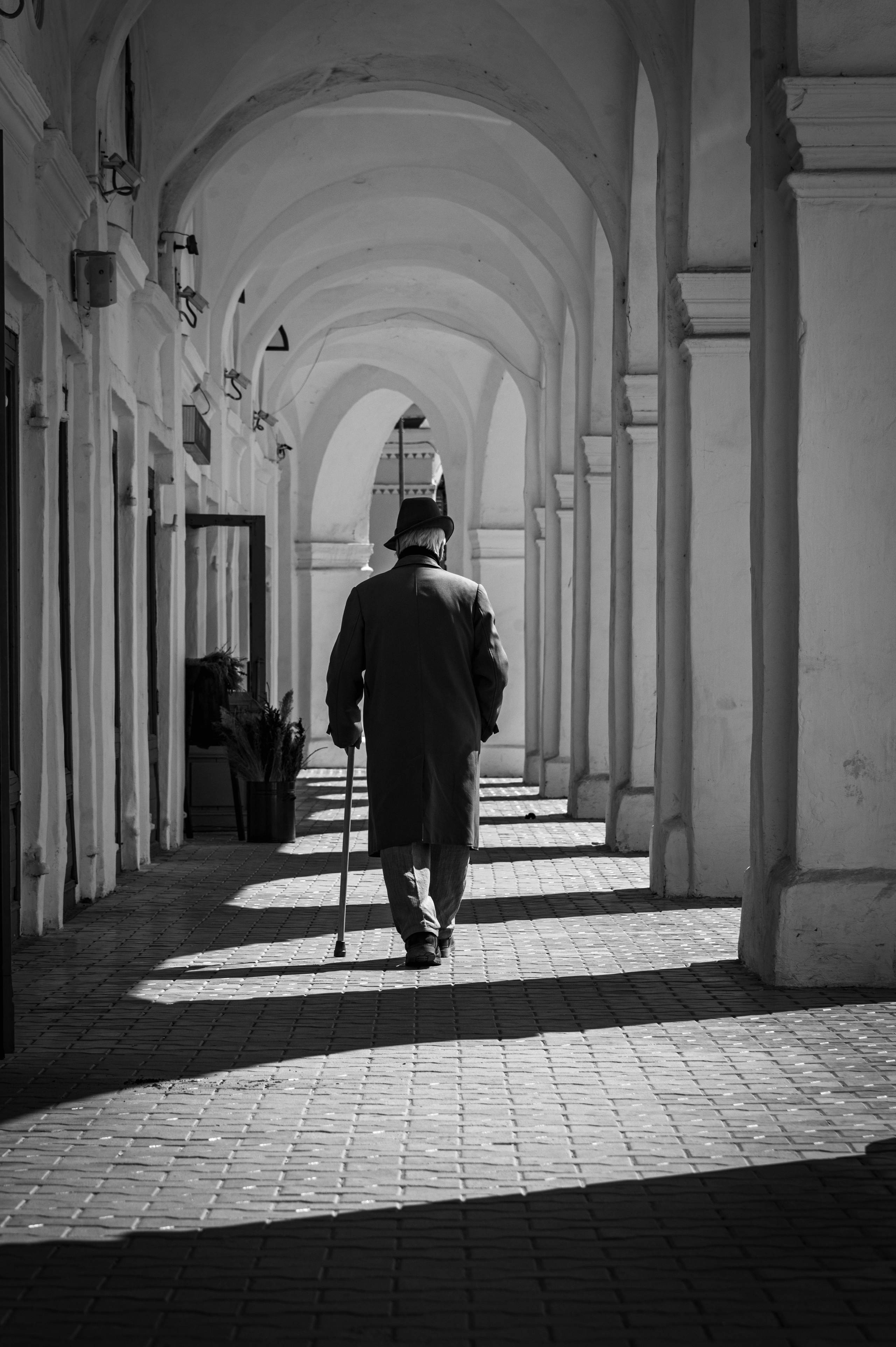 Кострома. Май 2023. Фотограф Роман Адлер