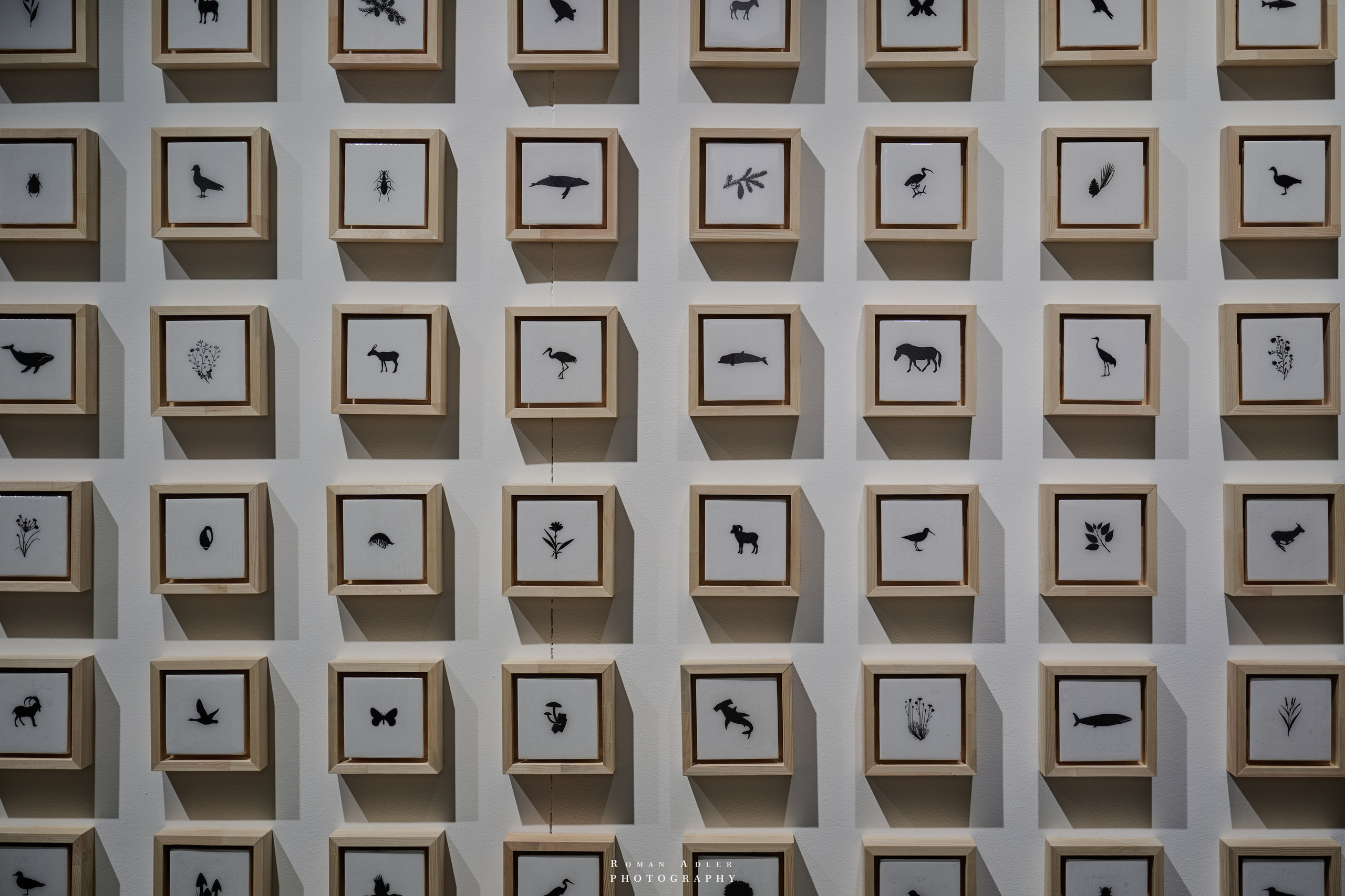 АРТ Россия 2026. Фотограф Роман Адлер