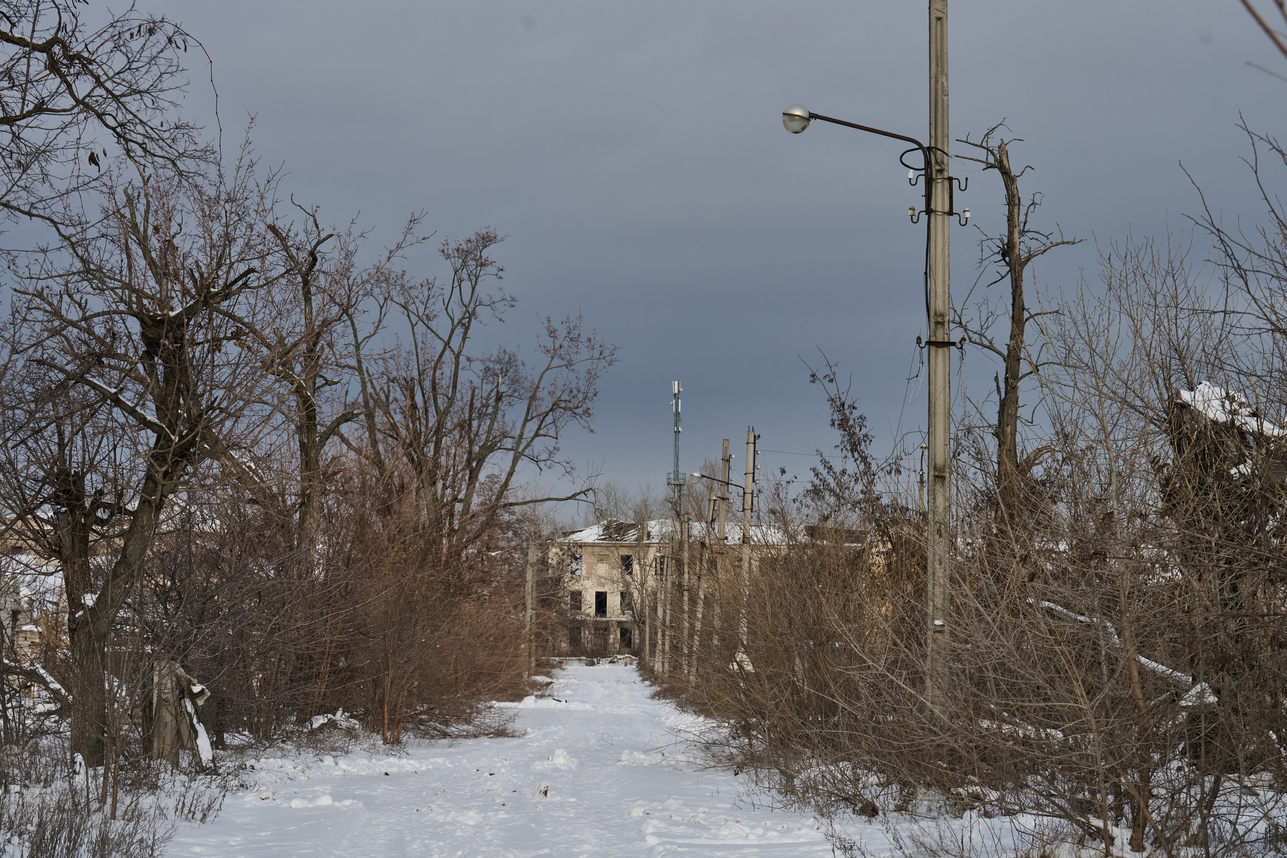 Рубежное. Январь 2026. Фотограф Роман Адлер