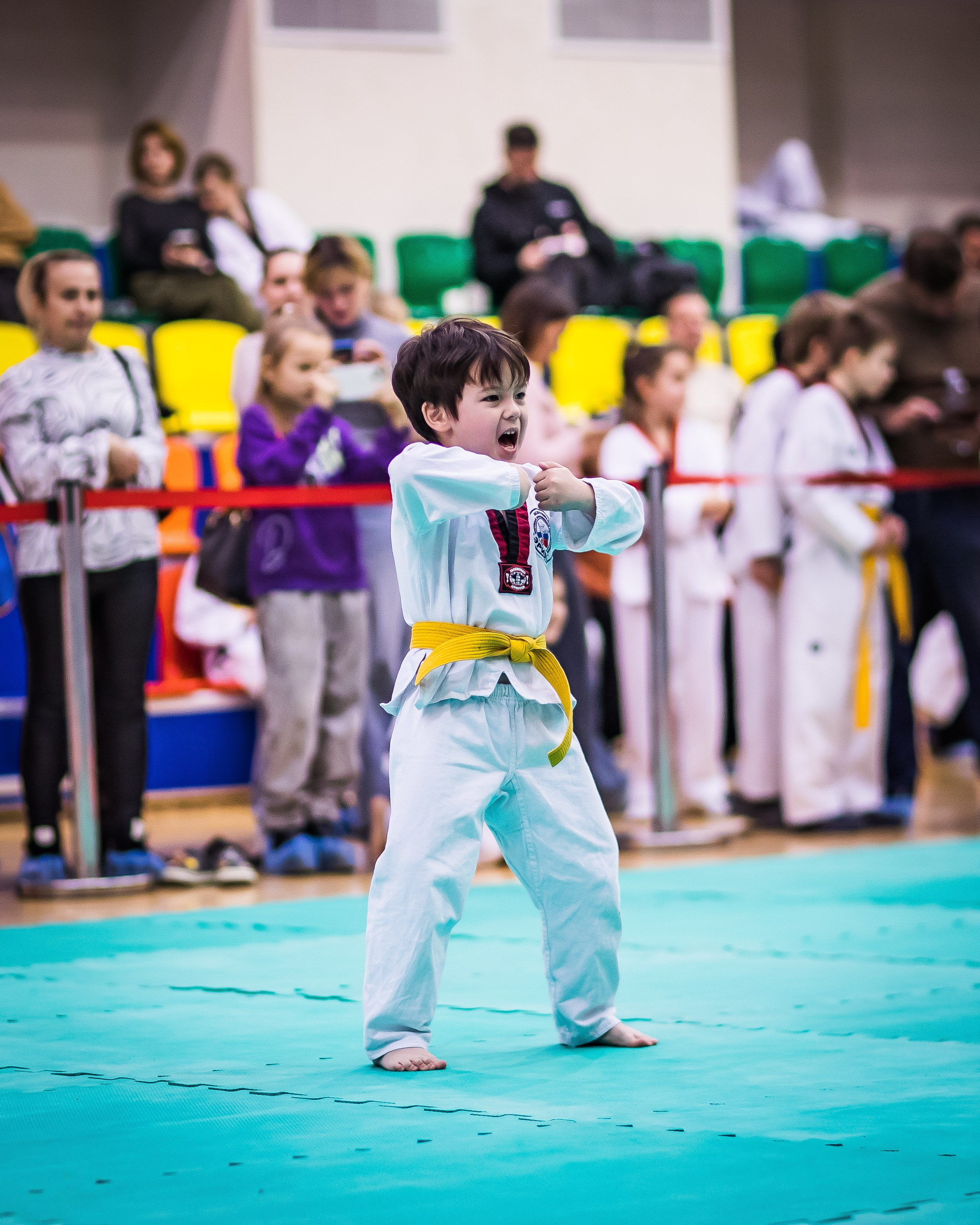 Турнир Федерации детского тхэквондо России по дисциплине ПХУМСЭ. Спортивный фотограф Максим Серегин