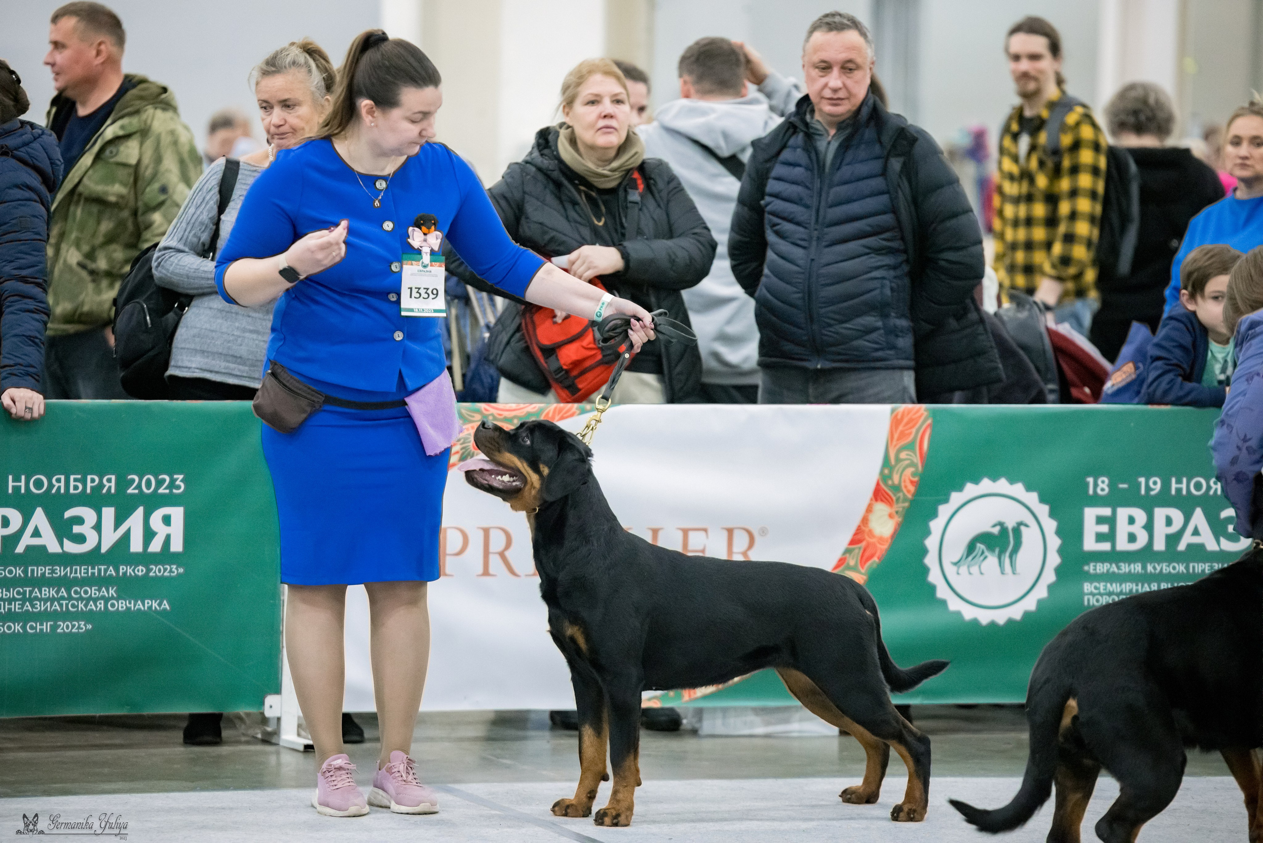 ЕВРАЗИЯ 18-19.11.2023. Фотограф-анималист Юлия Германика
