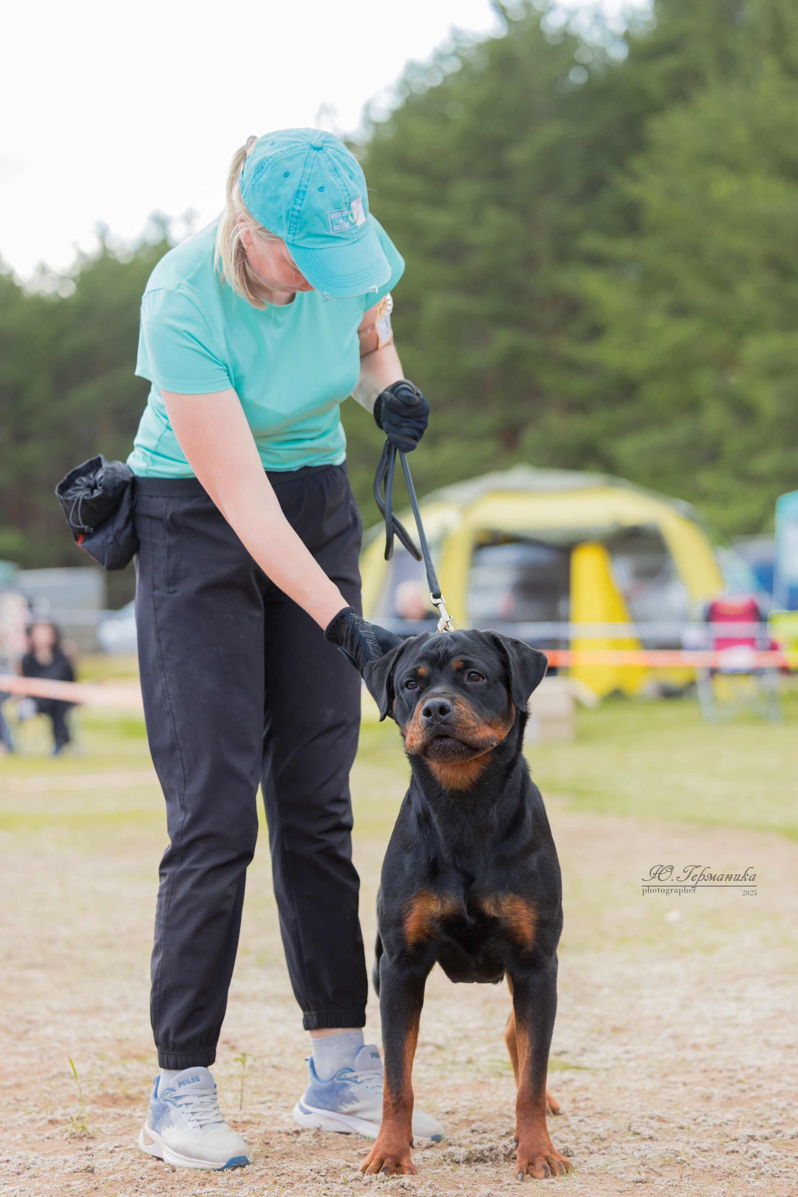 Тверь ротвейлеры 5-6.07.2025. Фотограф-анималист Юлия Германика