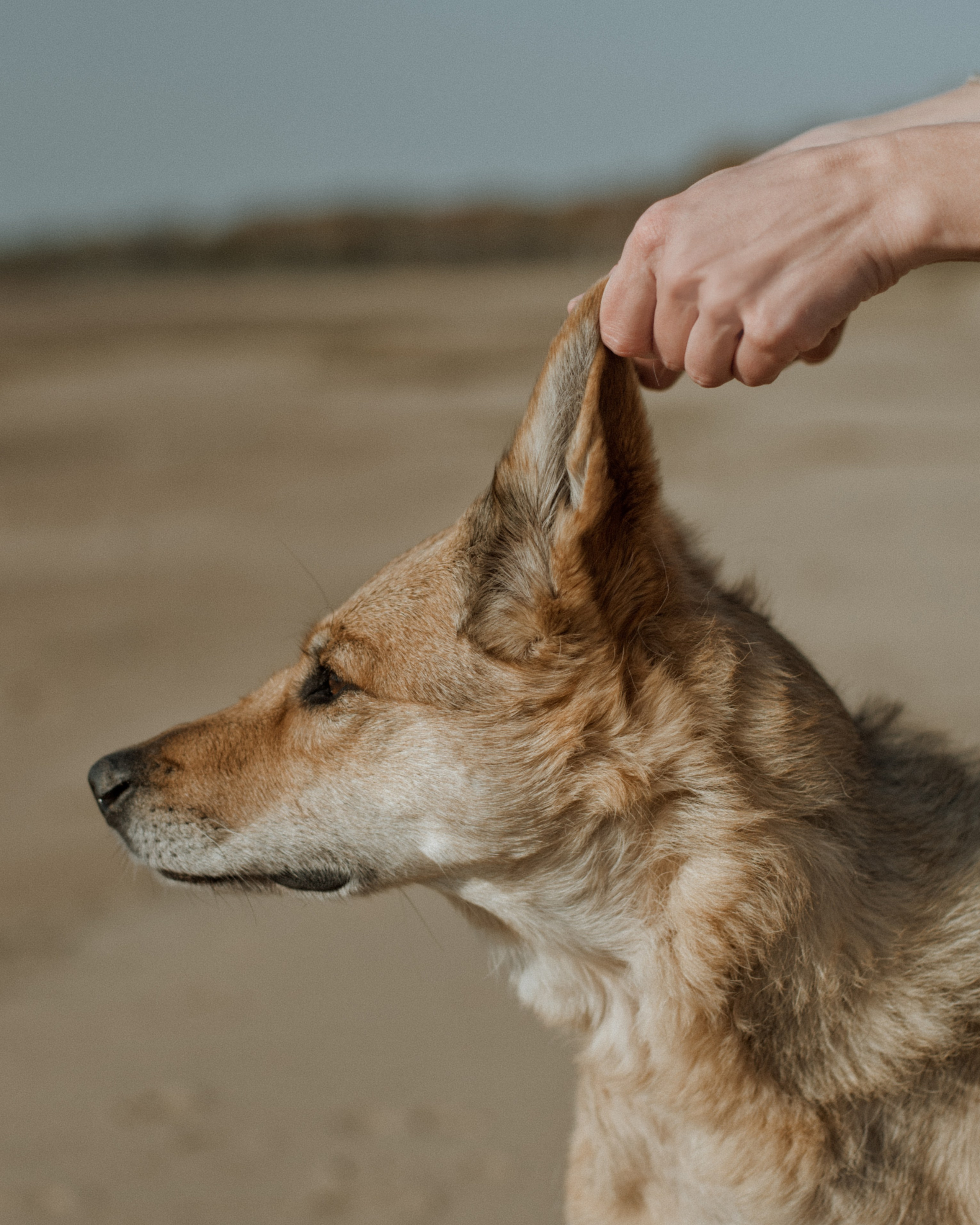 Прогулка: Аня и Шуня. Портфолио