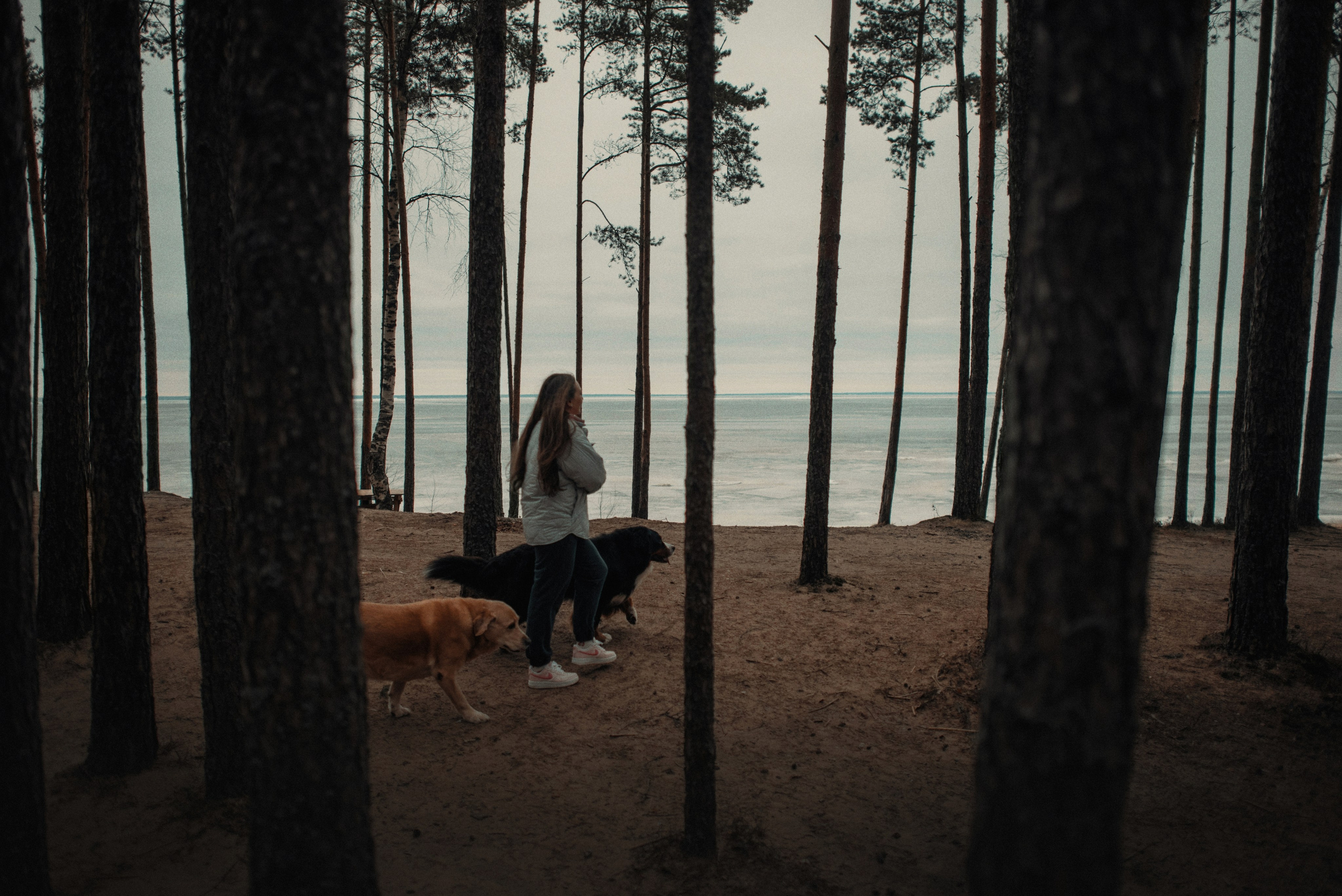 Прогулка: берн Пума, Фрэнк и Юля в Питере. Портфолио