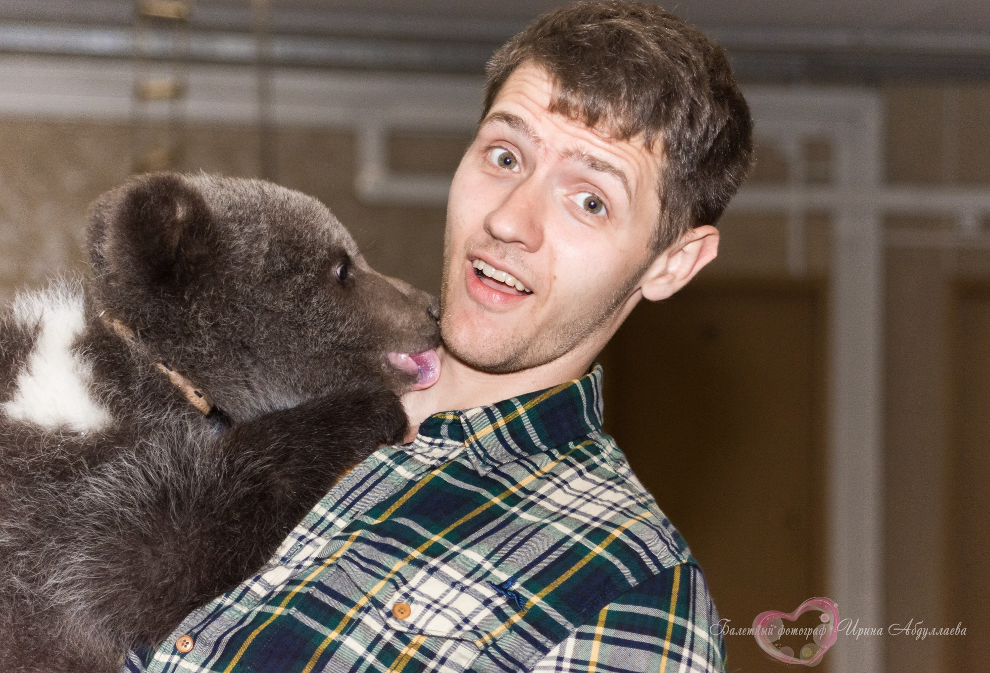 Артист цирка Олег Александров (прогулка -интервью): «Секрет дрессировки — любовь к животным и профессии»